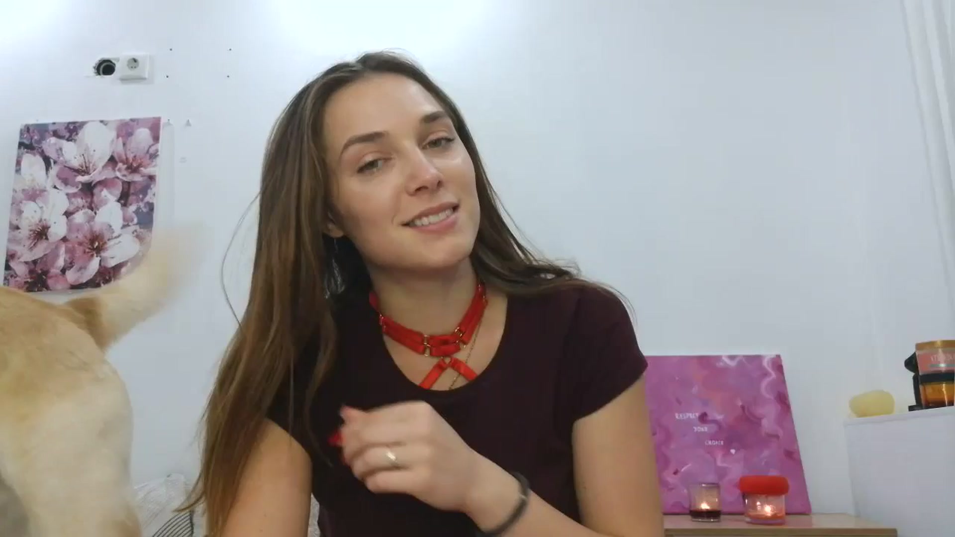 Gallery image thumbnail from HaleyReed's myfreecams stream on, 11/17/2025, 17:01 image 3 of 20