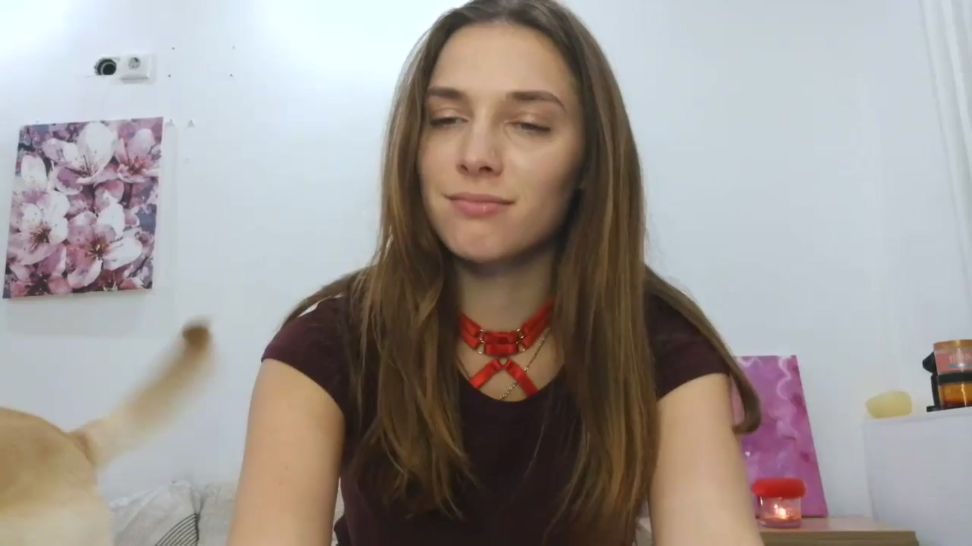 Gallery image thumbnail from HaleyReed's myfreecams stream on, 11/17/2025, 17:01 image 4 of 20