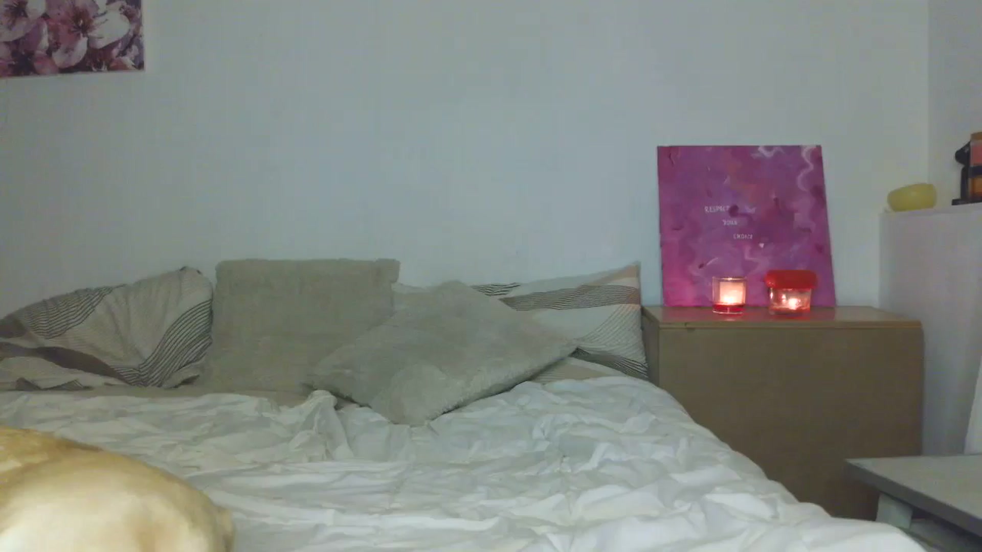 Gallery image thumbnail from HaleyReed's myfreecams stream on, 11/17/2025, 18:22 image 1 of 20