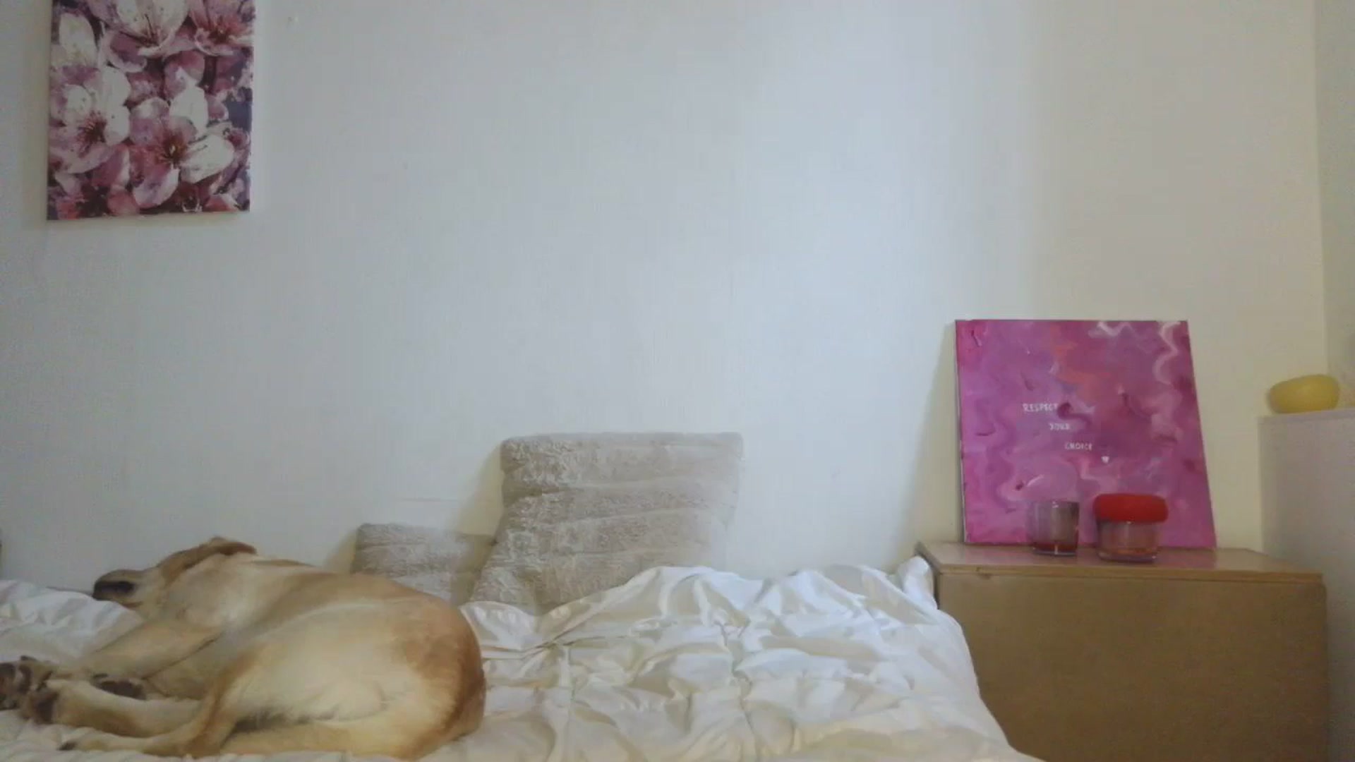 Gallery image thumbnail from HaleyReed's myfreecams stream on, 11/20/2025, 12:09 image 7 of 20
