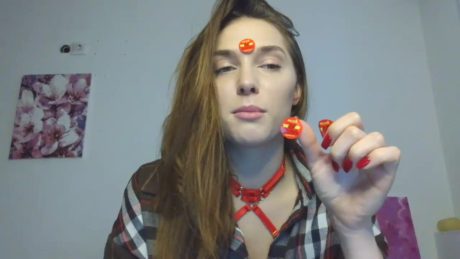 Gallery image thumbnail from HaleyReed's myfreecams stream on, 11/24/2025, 11:21 image 8 of 20