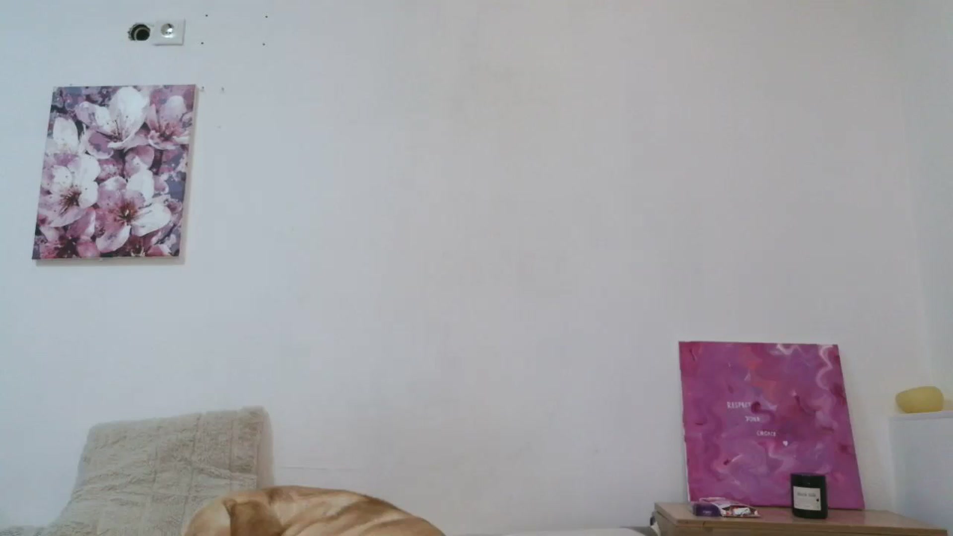 Gallery image thumbnail from HaleyReed's myfreecams stream on, 11/24/2025, 15:03 image 19 of 20