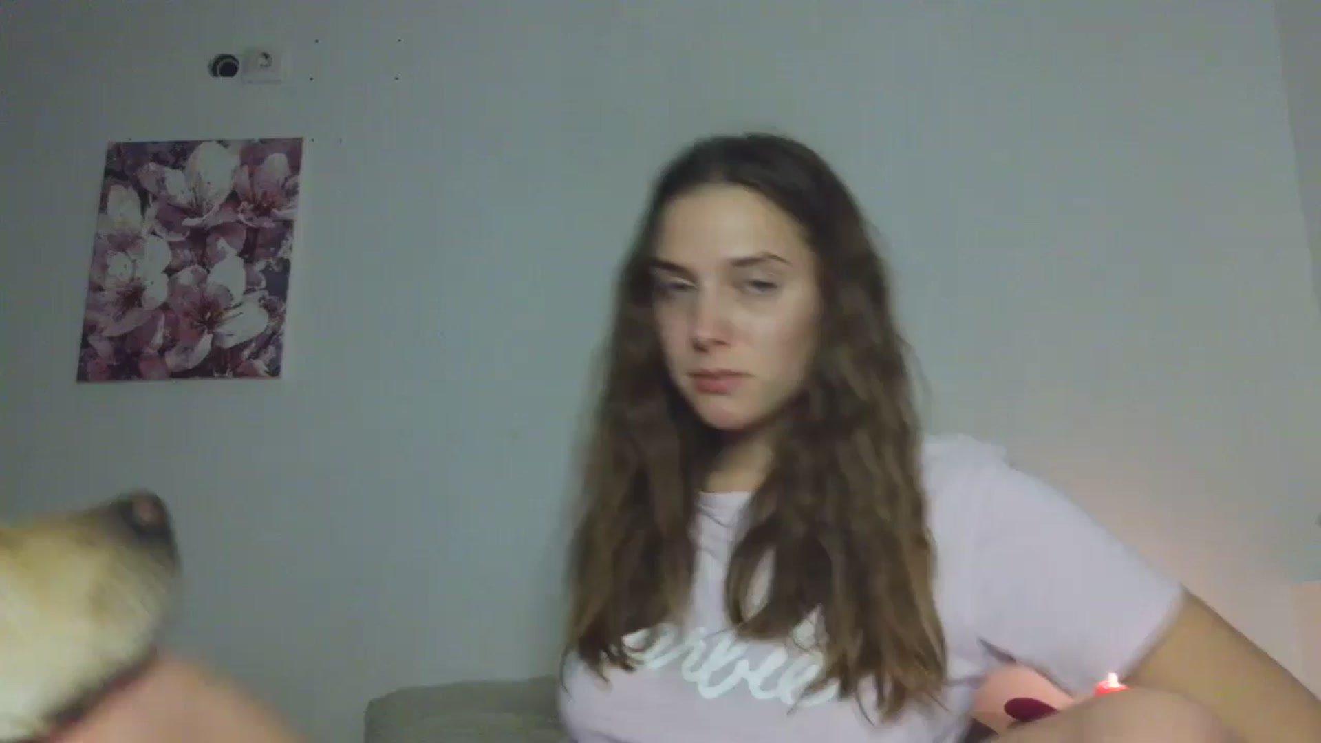 Gallery image thumbnail from HaleyReed's myfreecams stream on, 12/02/2025, 15:31 image 4 of 20