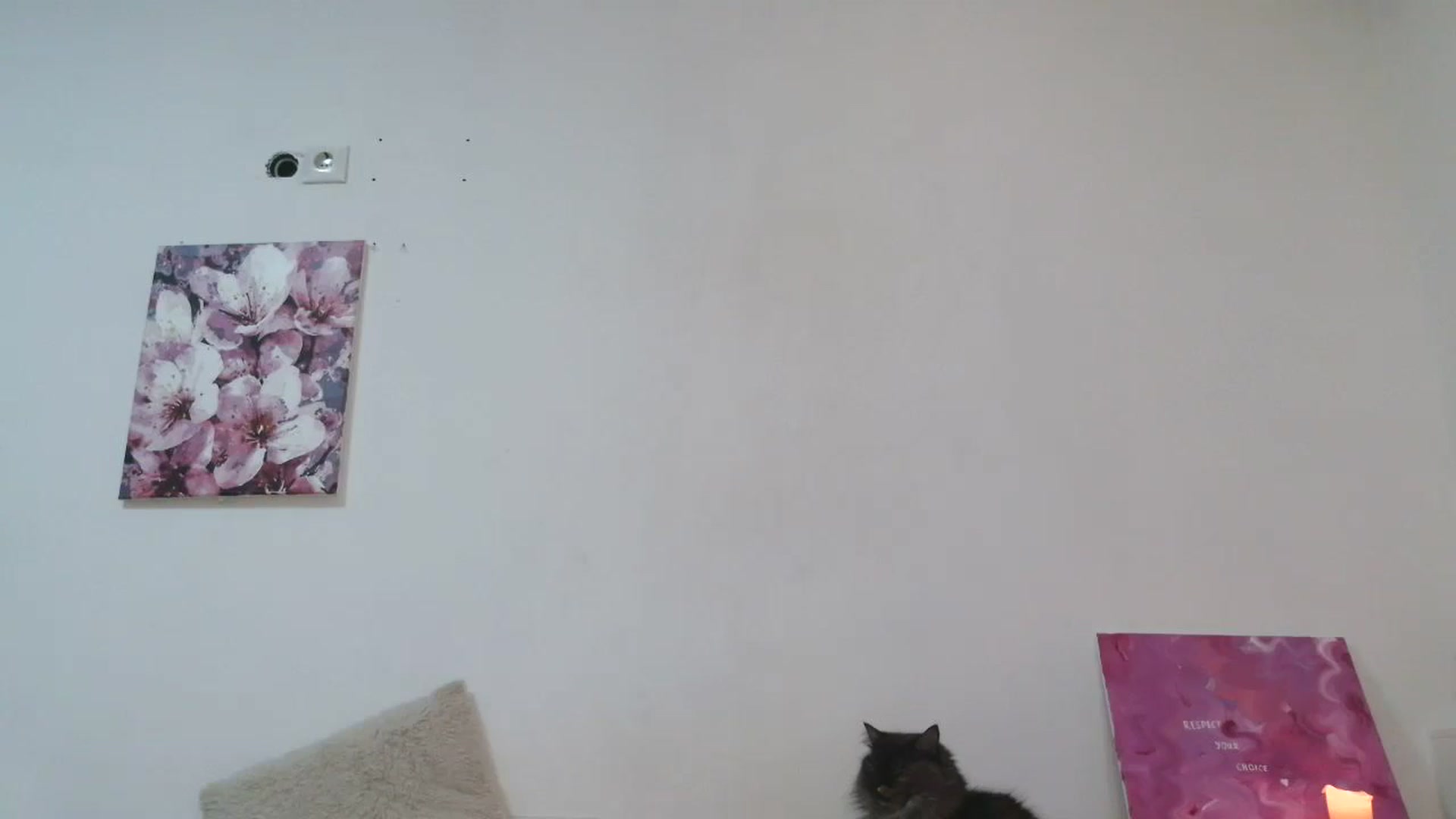 Gallery image thumbnail from HaleyReed's myfreecams stream on, 12/07/2025, 15:57 image 8 of 20