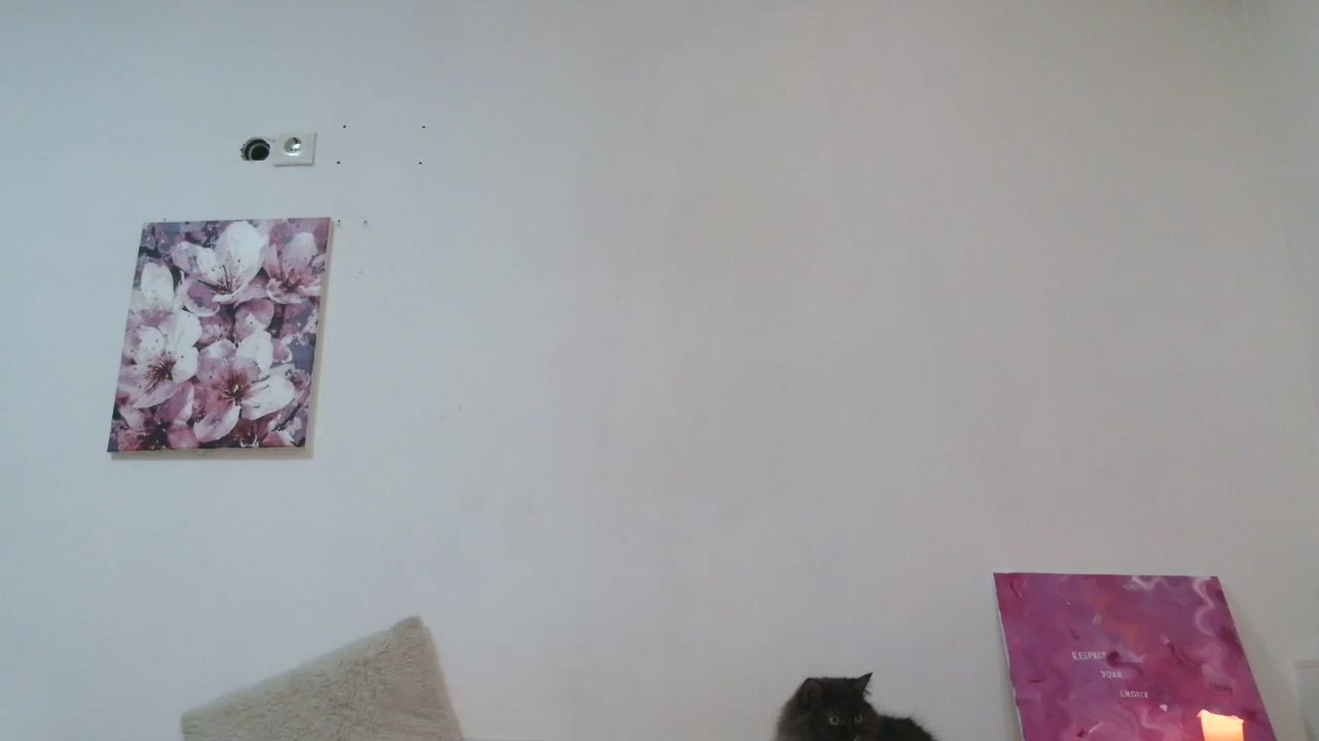 Gallery image thumbnail from HaleyReed's myfreecams stream on, 12/07/2025, 15:57 image 9 of 20