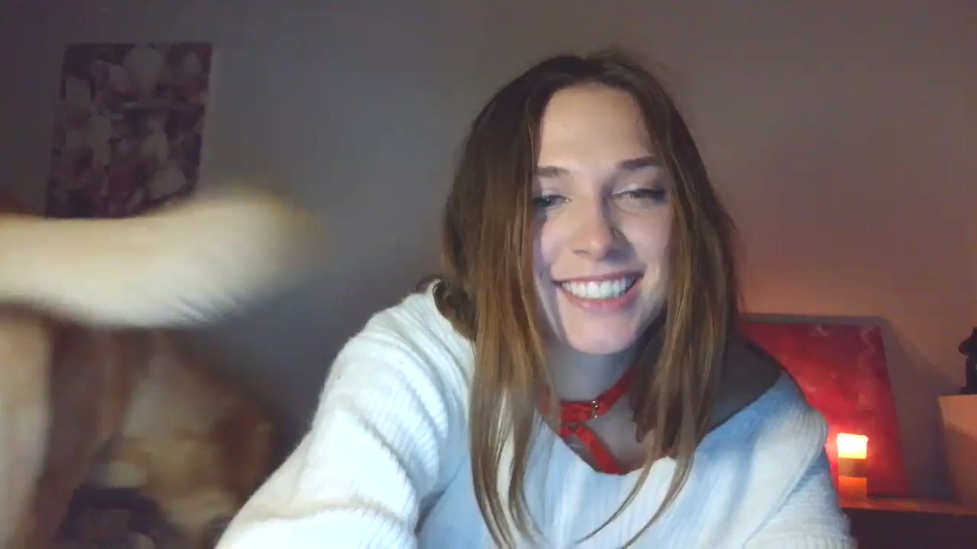Gallery image thumbnail from HaleyReed's myfreecams stream on, 12/08/2025, 16:16 image 13 of 20