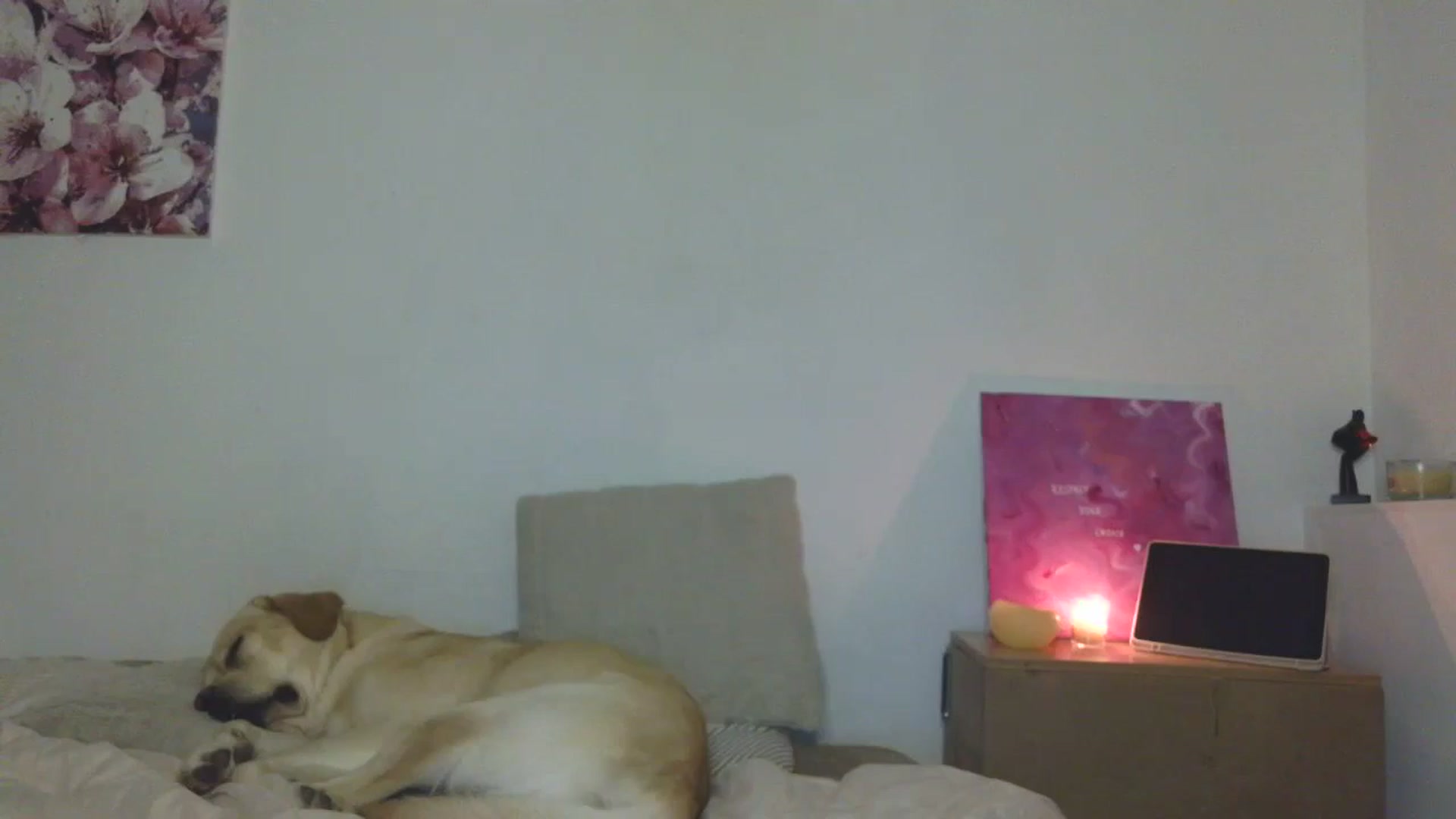 Gallery image thumbnail from HaleyReed's myfreecams stream on, 12/15/2025, 17:37 image 12 of 20