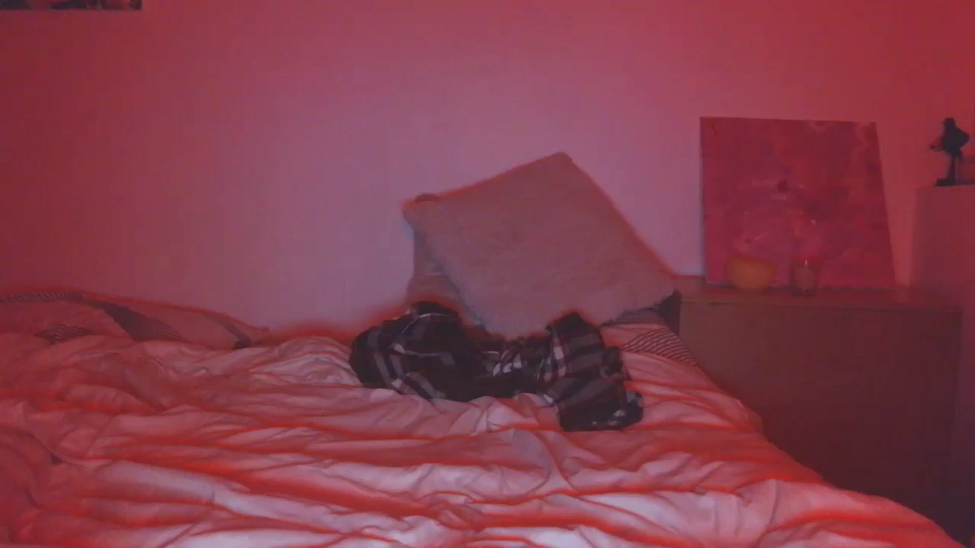 Gallery image thumbnail from HaleyReed's myfreecams stream on, 12/17/2025, 18:04 image 19 of 20