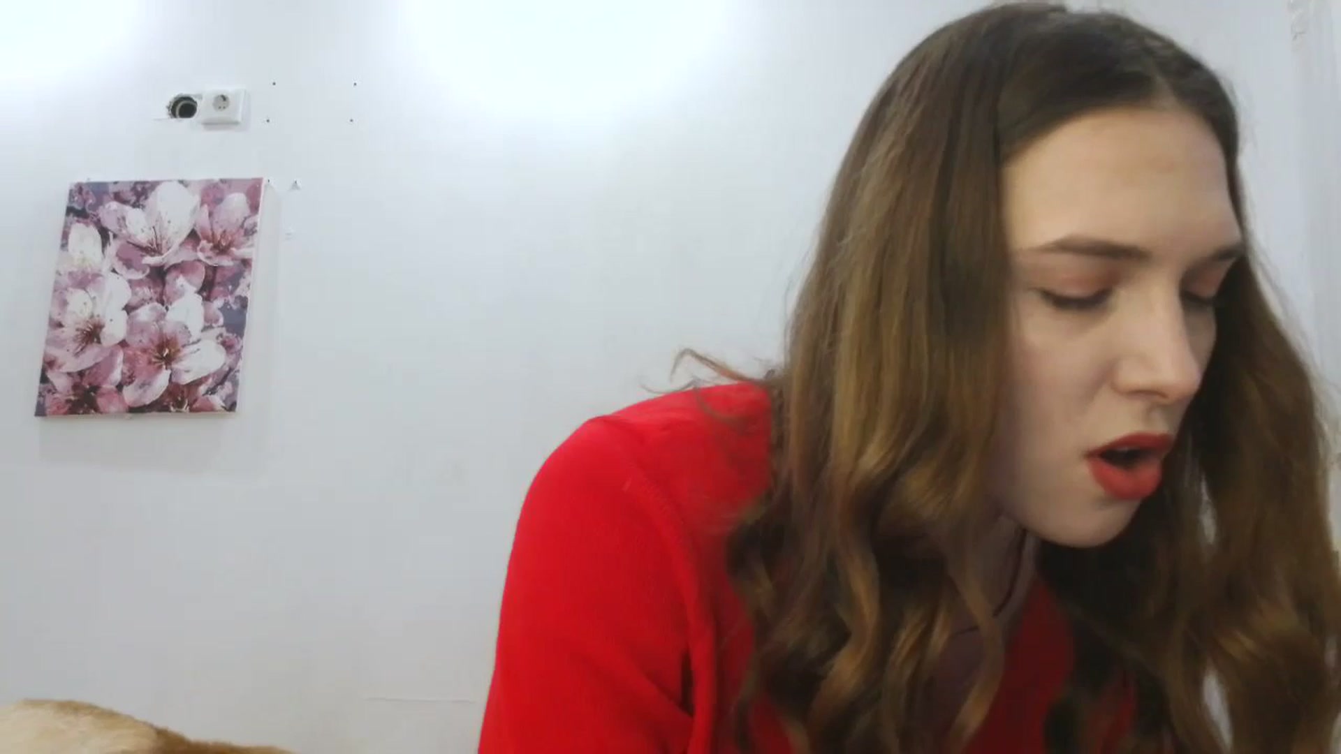 Gallery image thumbnail from HaleyReed's myfreecams stream on, 12/18/2025, 12:01 image 17 of 20