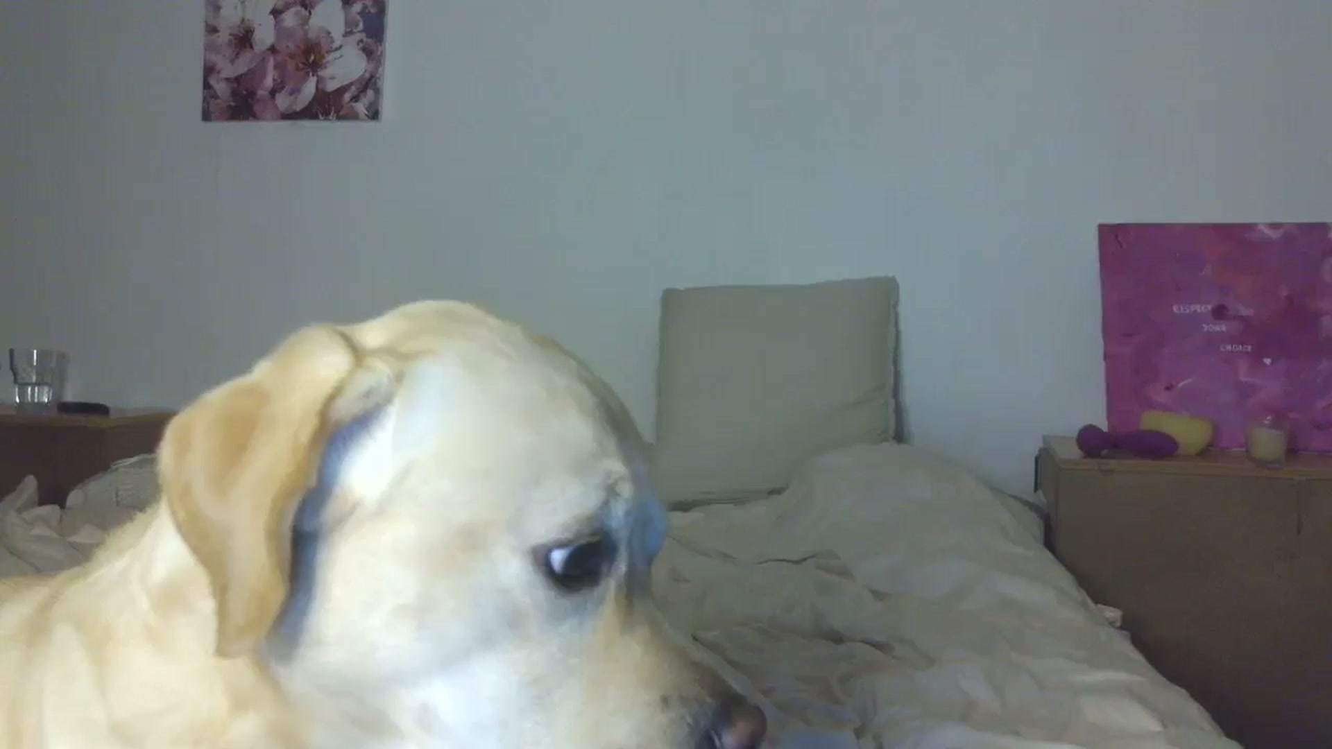 Gallery image thumbnail from HaleyReed's myfreecams stream on, 12/18/2025, 16:47 image 4 of 20