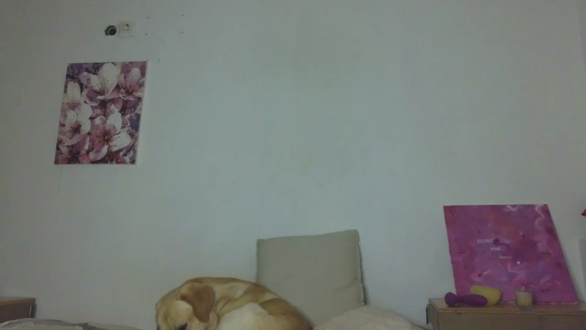 Gallery image thumbnail from HaleyReed's myfreecams stream on, 12/18/2025, 16:47 image 15 of 20