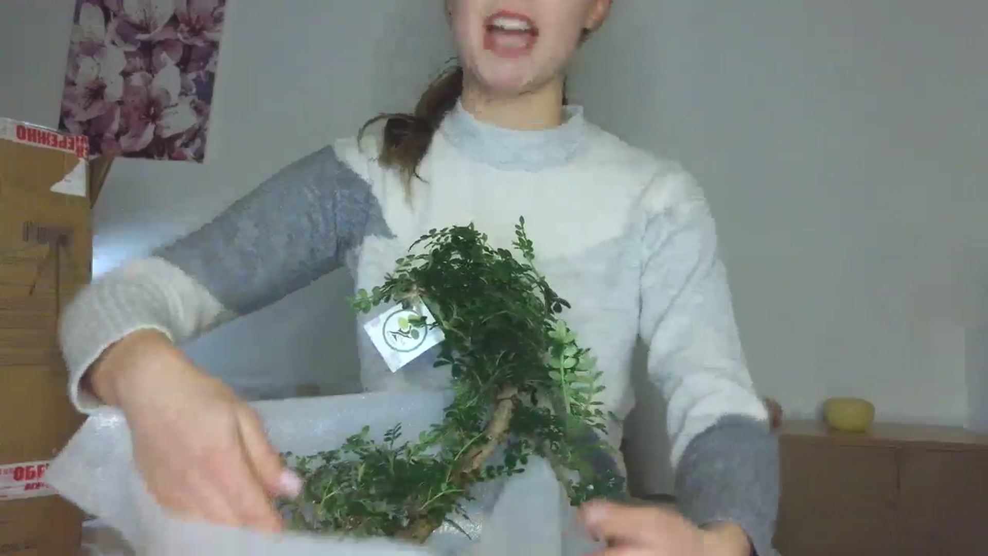 Gallery image thumbnail from HaleyReed's myfreecams stream on, 12/19/2025, 14:58 image 11 of 20