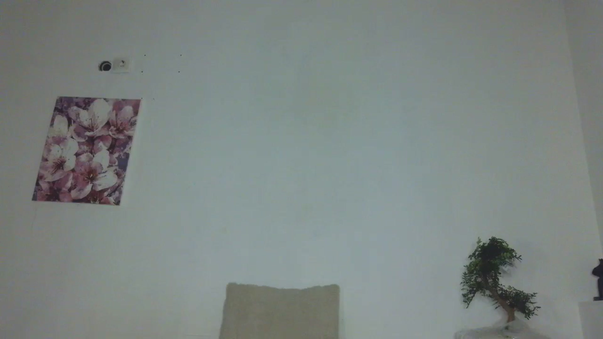 Gallery image thumbnail from HaleyReed's myfreecams stream on, 12/19/2025, 16:28 image 4 of 20