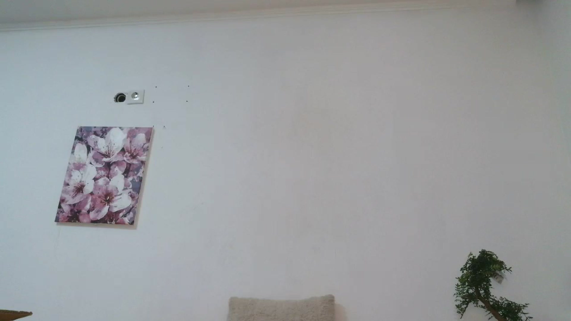 Gallery image thumbnail from HaleyReed's myfreecams stream on, 12/19/2025, 17:30 image 20 of 20