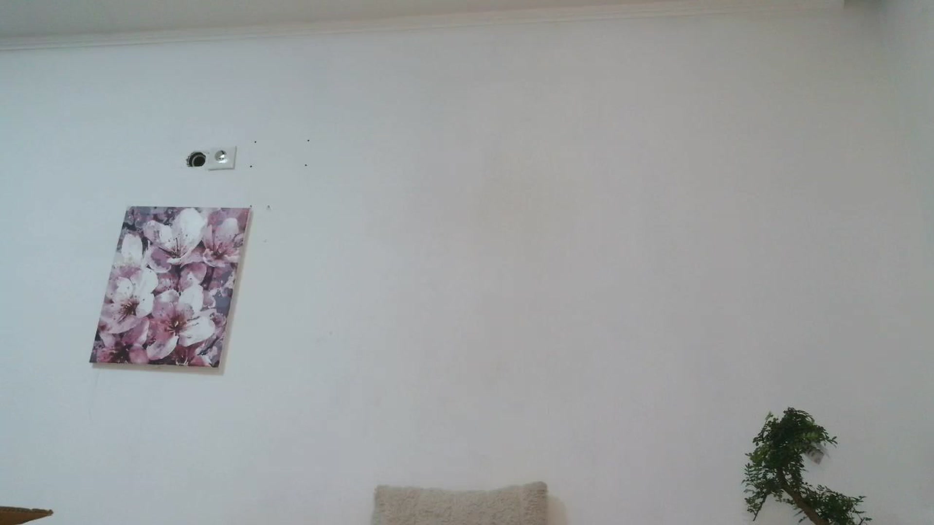 Gallery image thumbnail from HaleyReed's myfreecams stream on, 12/19/2025, 17:30 image 17 of 20