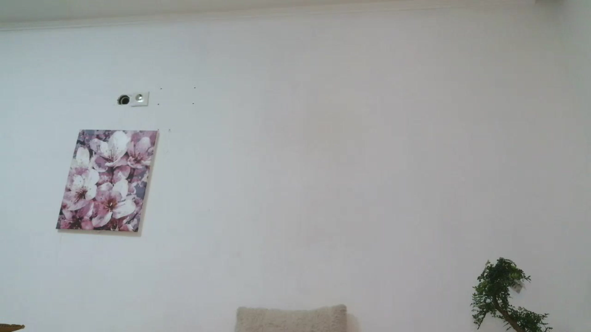 Gallery image thumbnail from HaleyReed's myfreecams stream on, 12/19/2025, 17:30 image 15 of 20