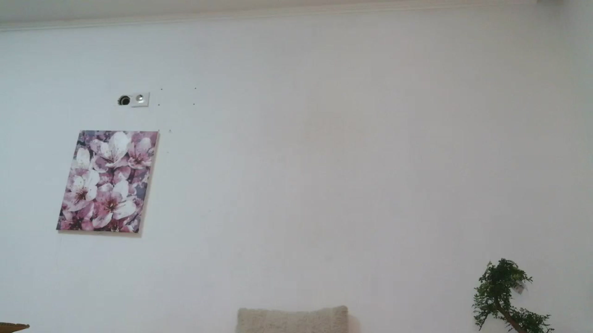 Gallery image thumbnail from HaleyReed's myfreecams stream on, 12/19/2025, 17:30 image 16 of 20