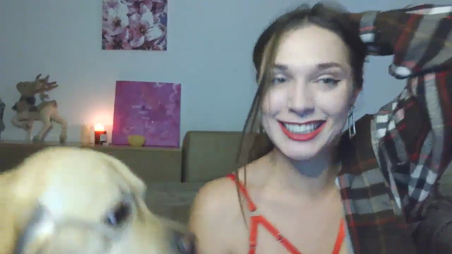 Gallery image thumbnail from HaleyReed's myfreecams stream on, 12/26/2025, 12:59 image 14 of 20