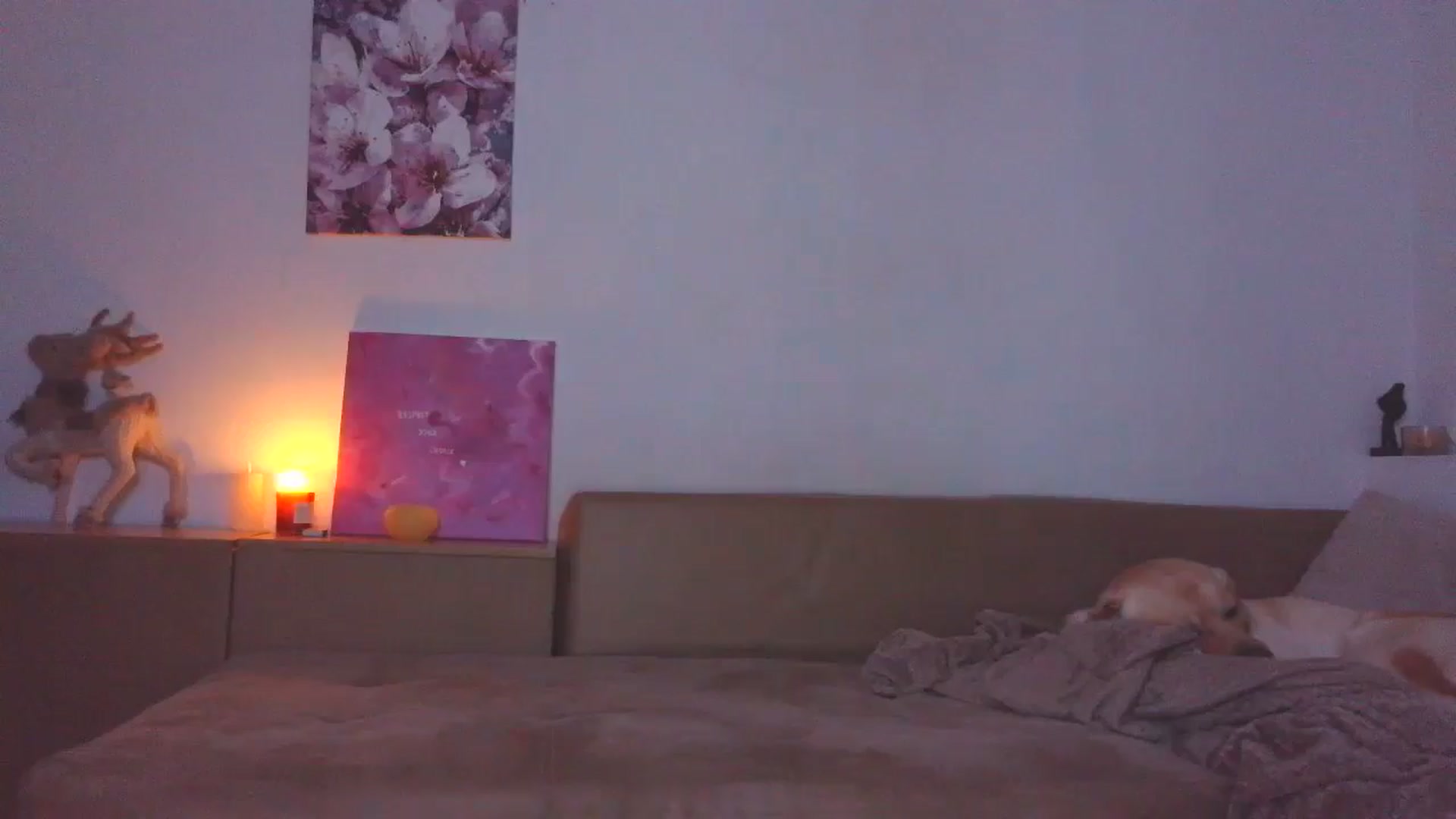 Gallery image thumbnail from HaleyReed's myfreecams stream on, 12/26/2025, 13:52 image 11 of 20