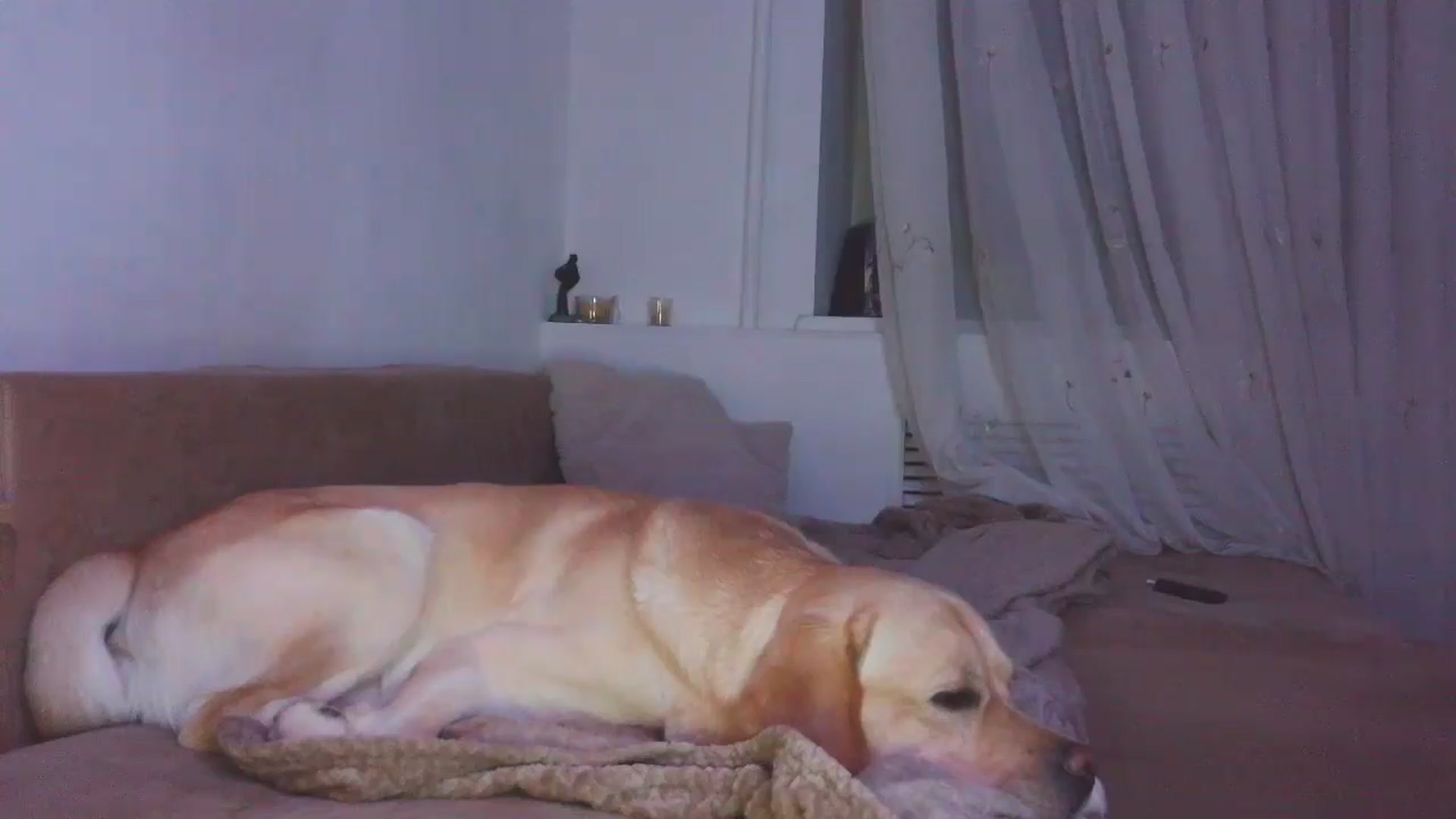 Gallery image thumbnail from HaleyReed's myfreecams stream on, 12/26/2025, 17:02 image 7 of 20