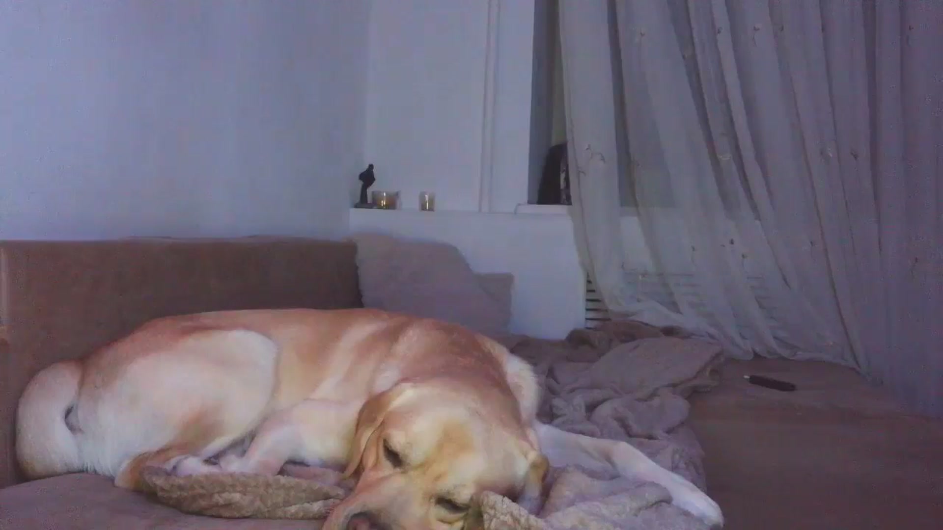 Gallery image thumbnail from HaleyReed's myfreecams stream on, 12/26/2025, 17:02 image 6 of 20