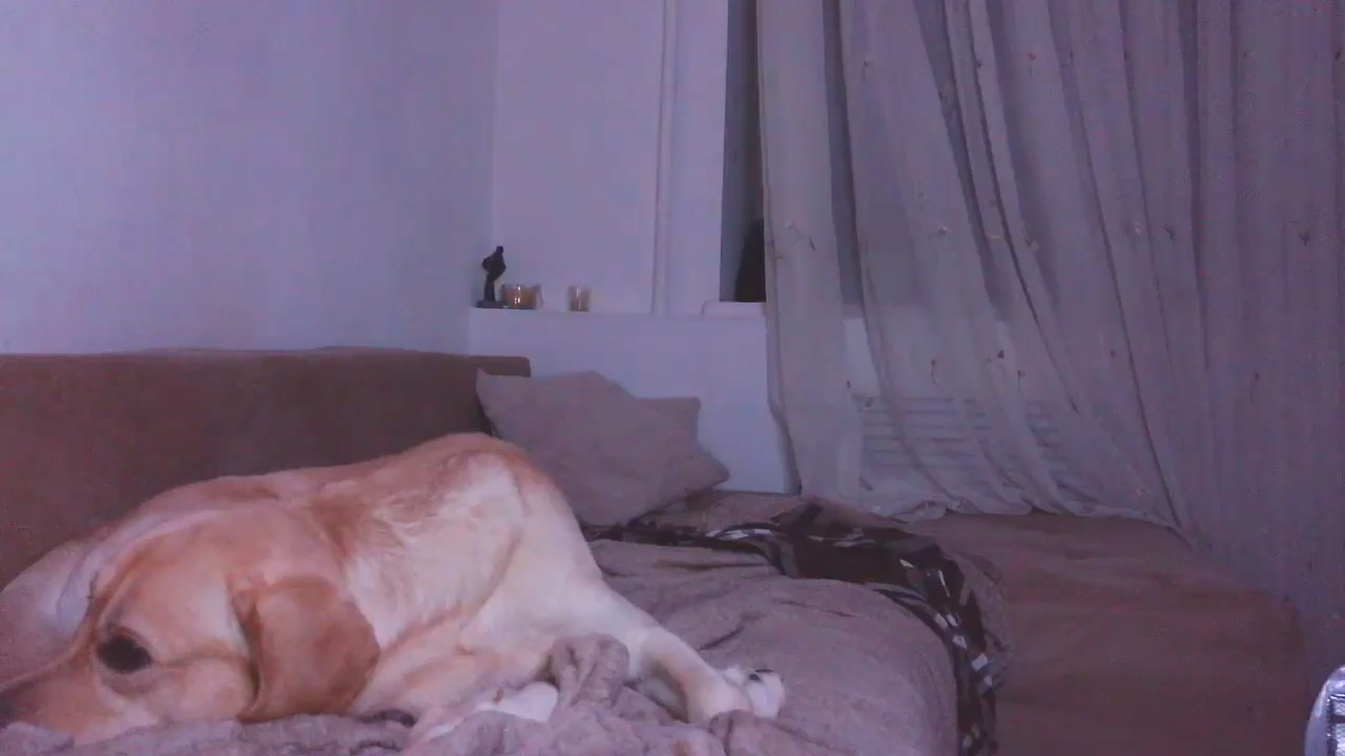 Gallery image thumbnail from HaleyReed's myfreecams stream on, 12/26/2025, 18:03 image 16 of 20