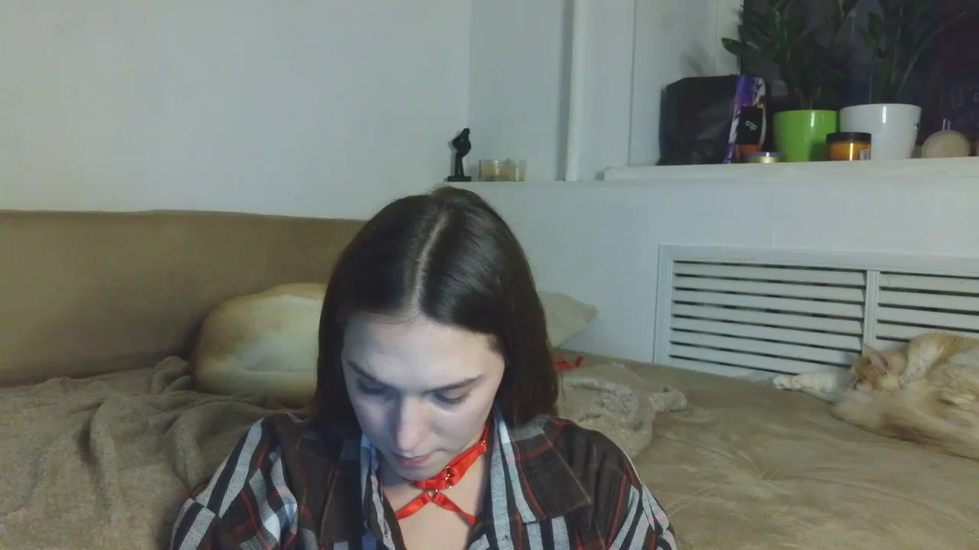 Gallery image thumbnail from HaleyReed's myfreecams stream on, 01/08/2026, 17:42 image 8 of 20