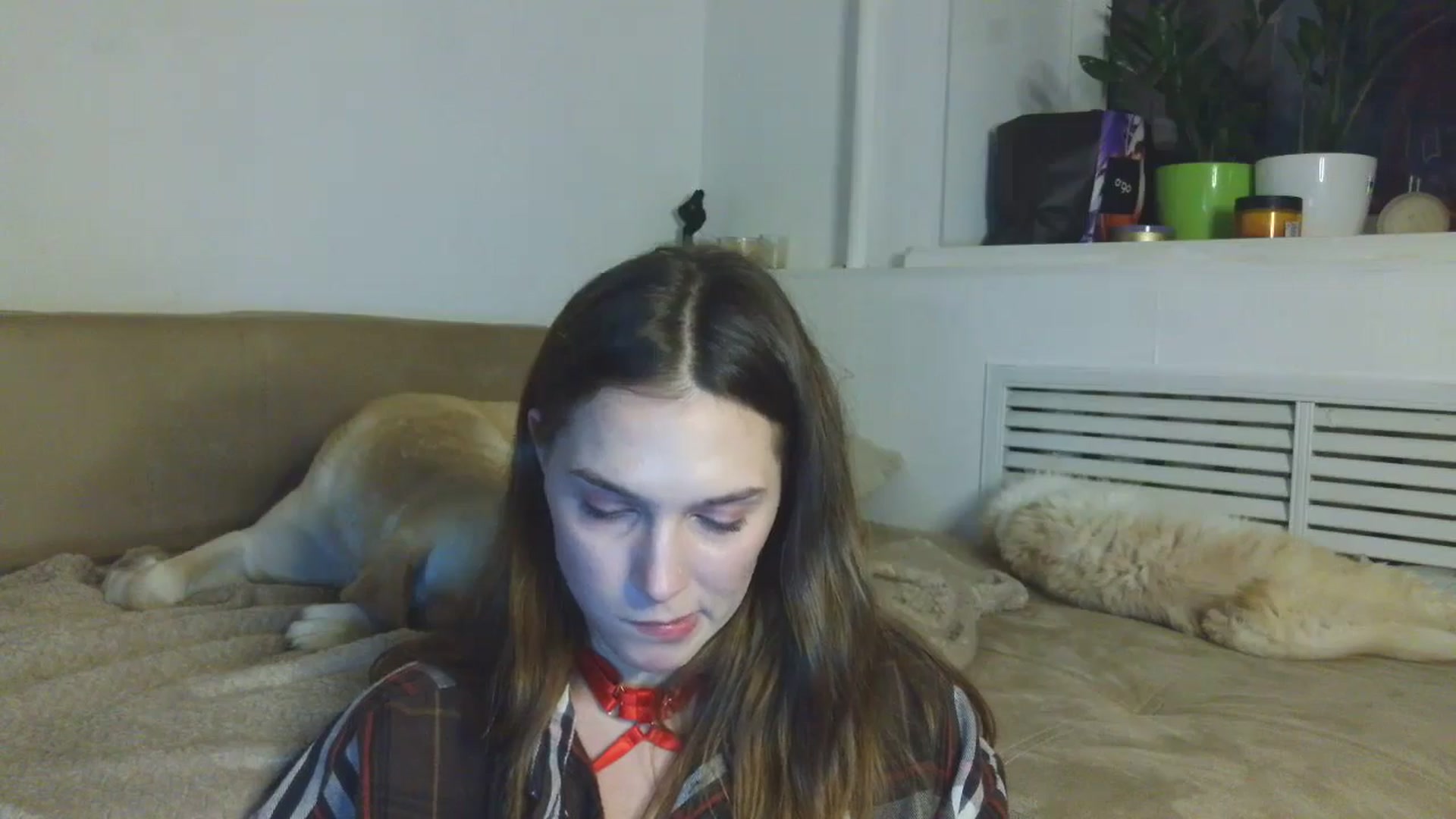 Gallery image thumbnail from HaleyReed's myfreecams stream on, 01/08/2026, 17:42 image 4 of 20