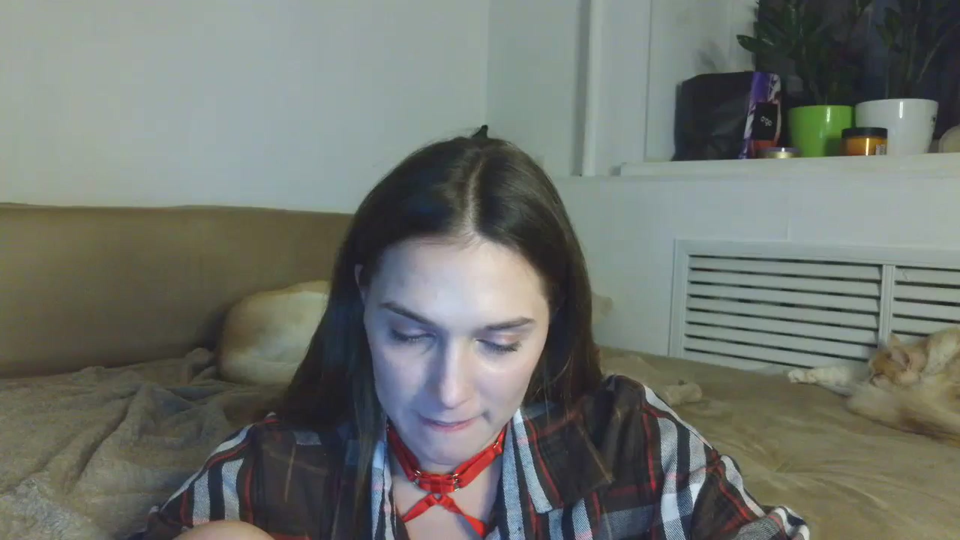 Gallery image thumbnail from HaleyReed's myfreecams stream on, 01/08/2026, 17:42 image 9 of 20