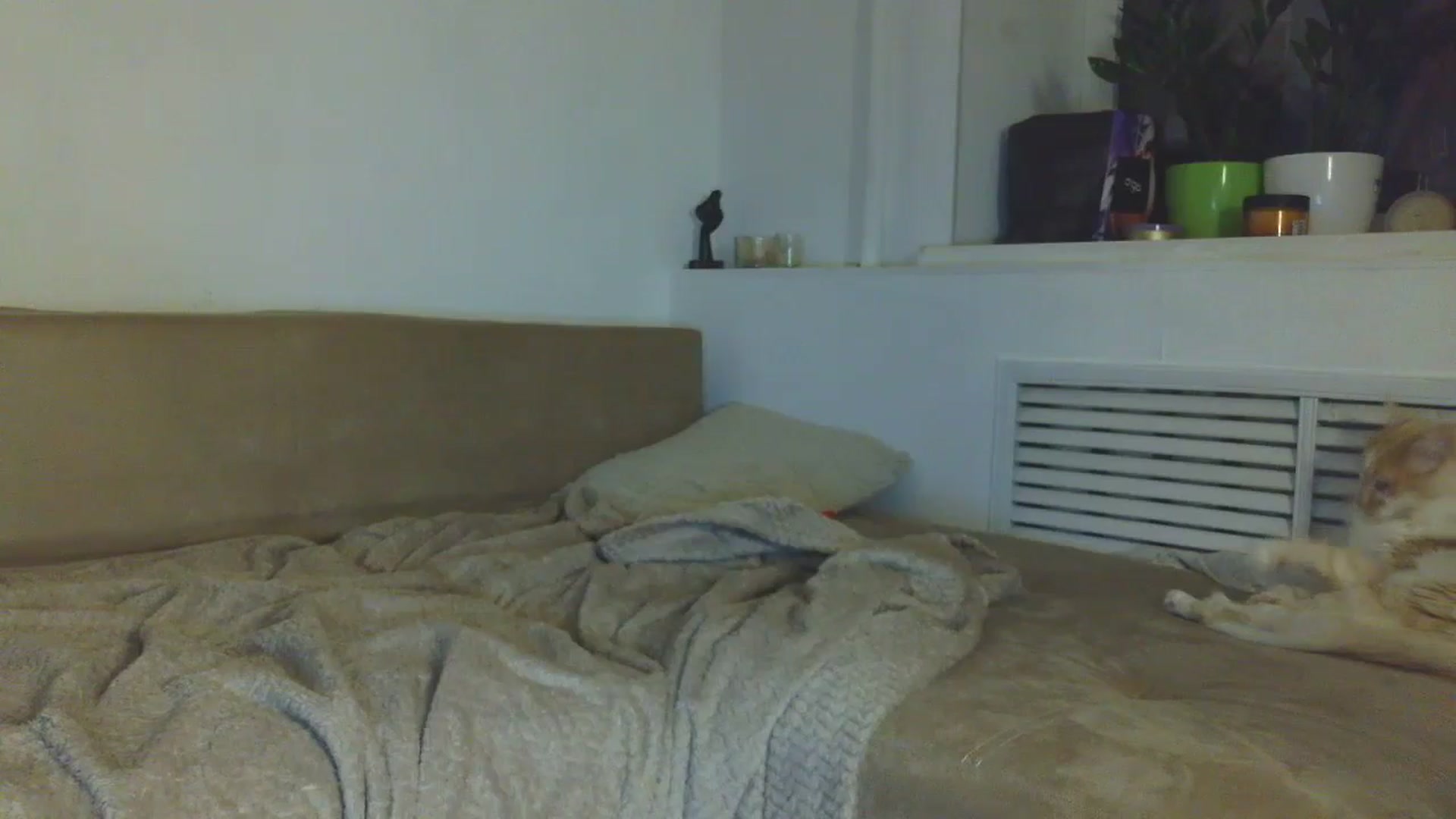 Gallery image thumbnail from HaleyReed's myfreecams stream on, 01/08/2026, 17:42 image 13 of 20