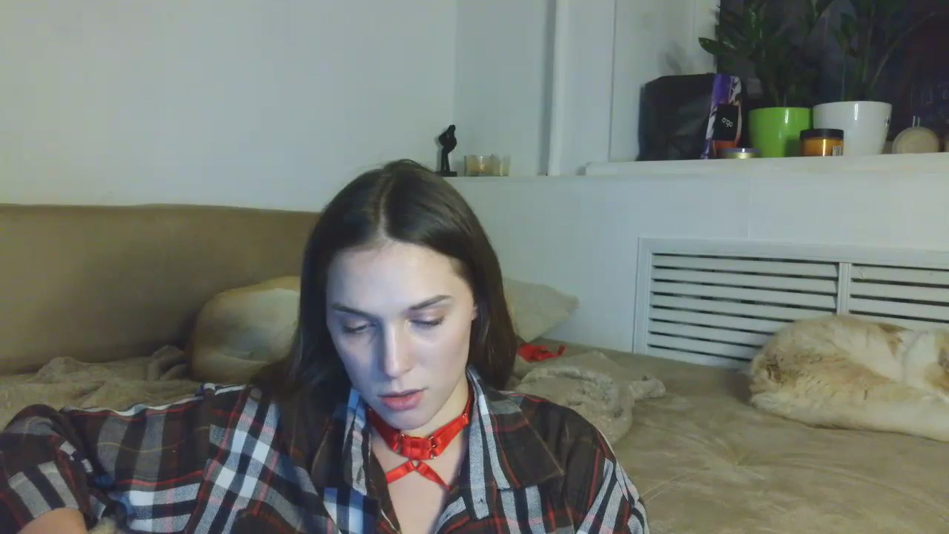 Gallery image thumbnail from HaleyReed's myfreecams stream on, 01/08/2026, 17:42 image 7 of 20
