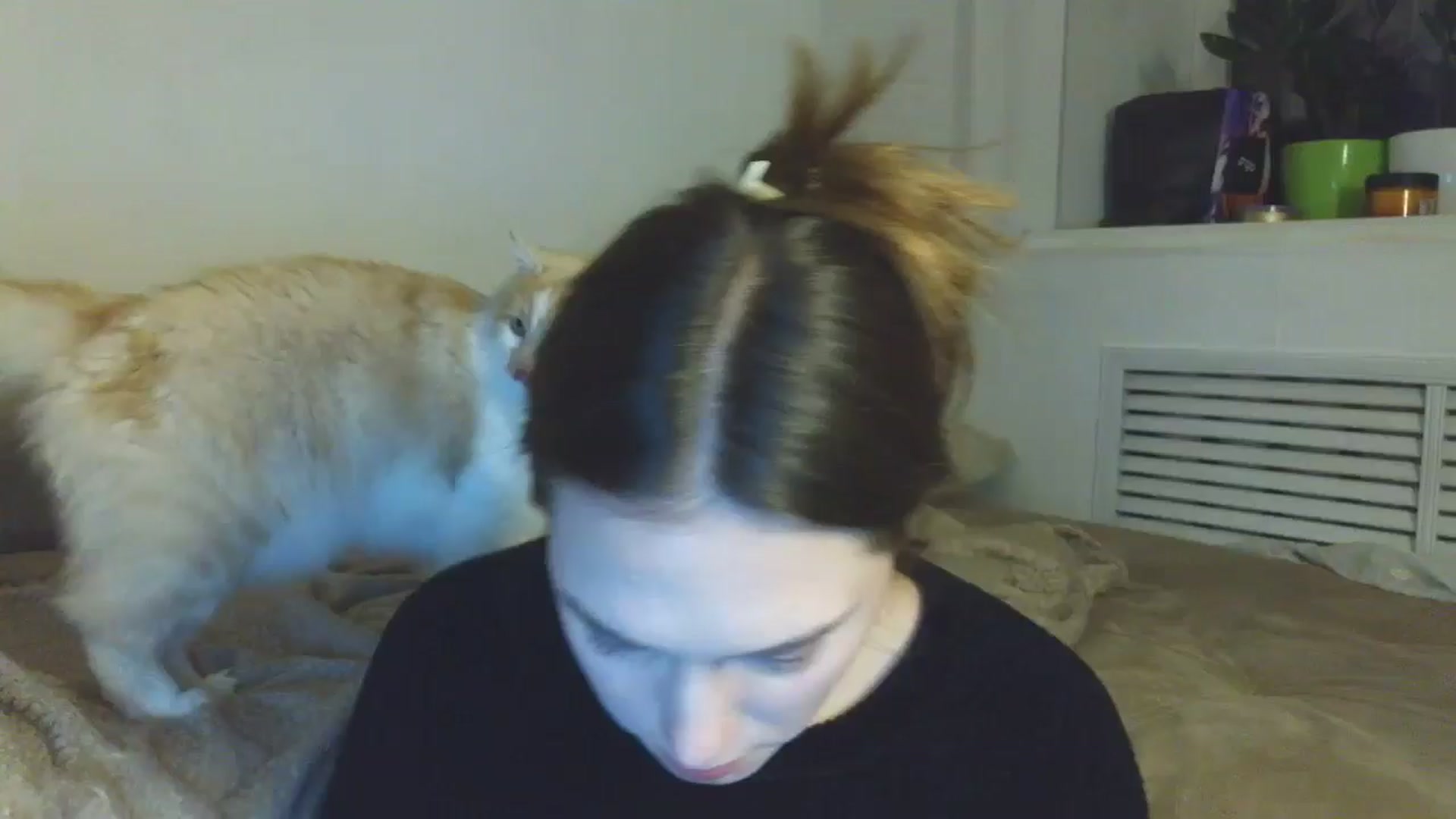 Gallery image thumbnail from HaleyReed's myfreecams stream on, 01/08/2026, 17:42 image 16 of 20