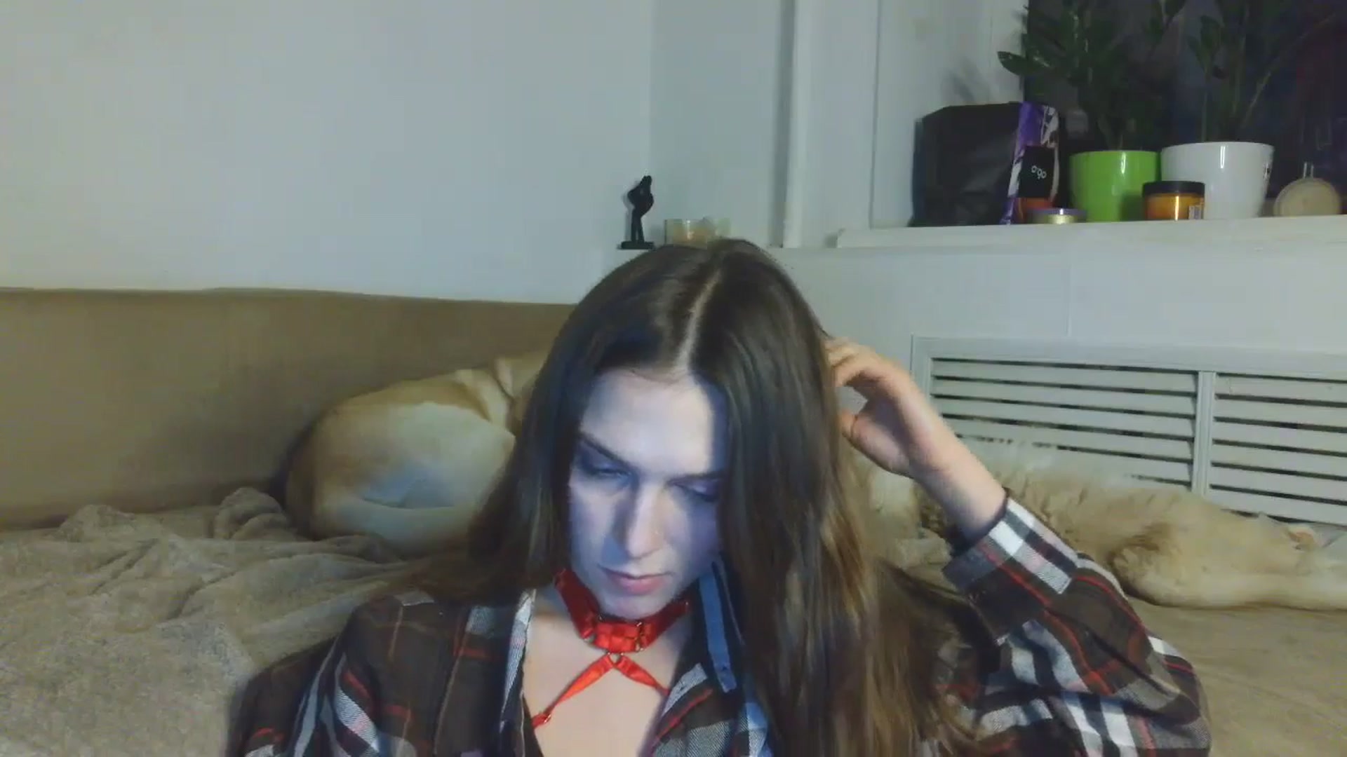 Gallery image thumbnail from HaleyReed's myfreecams stream on, 01/08/2026, 17:42 image 5 of 20
