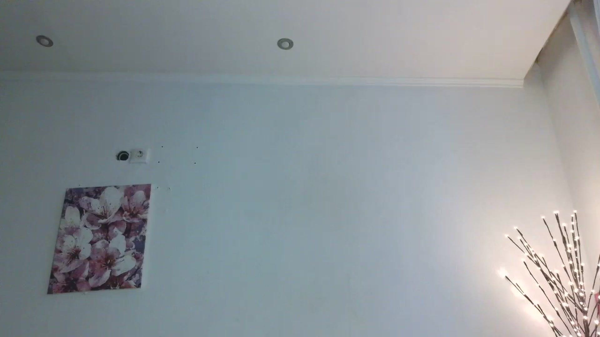 Gallery image thumbnail from HaleyReed's myfreecams stream on, 01/14/2026, 13:42 image 3 of 20