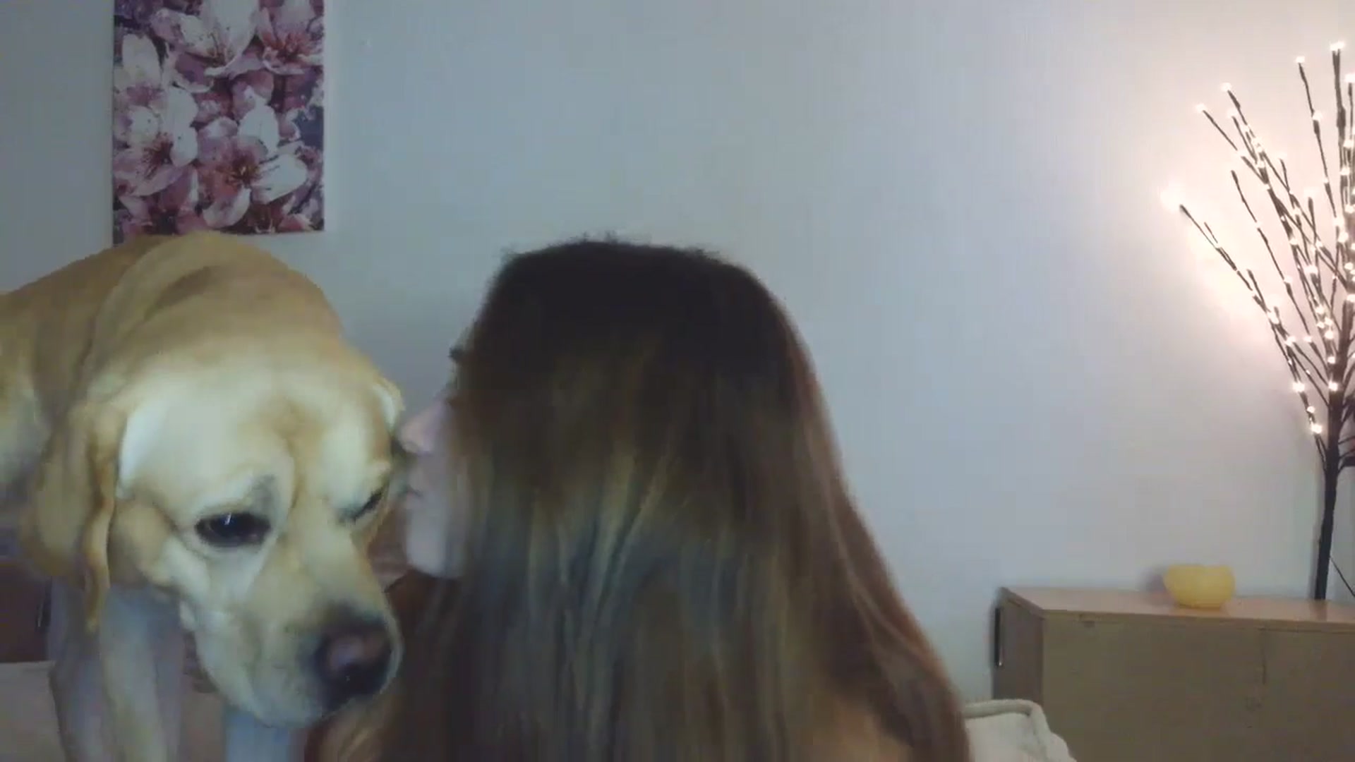 Gallery image thumbnail from HaleyReed's myfreecams stream on, 01/14/2026, 13:42 image 6 of 20