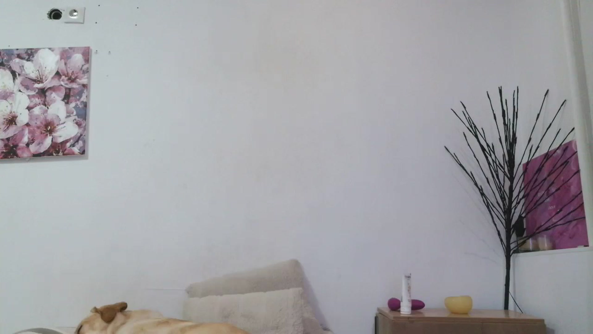 Gallery image thumbnail from HaleyReed's myfreecams stream on, 01/14/2026, 16:54 image 8 of 20