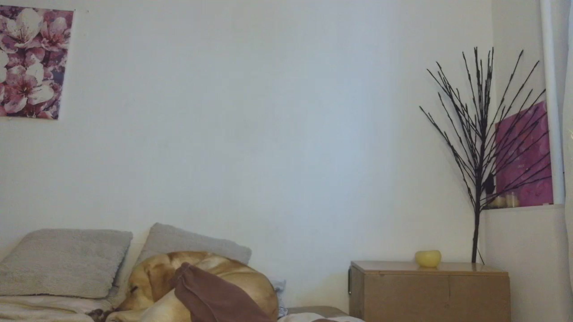 Gallery image thumbnail from HaleyReed's myfreecams stream on, 01/15/2026, 13:39 image 15 of 20