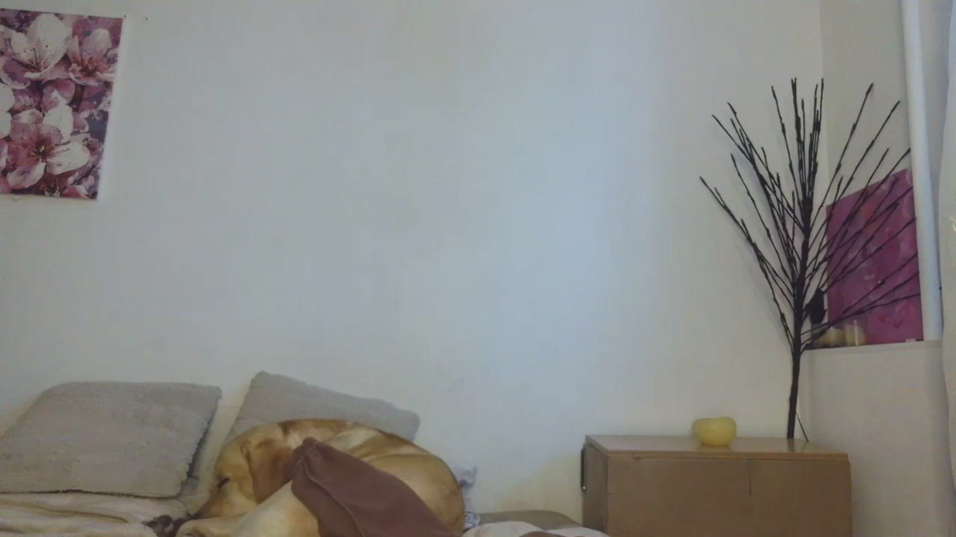 Gallery image thumbnail from HaleyReed's myfreecams stream on, 01/15/2026, 13:39 image 14 of 20