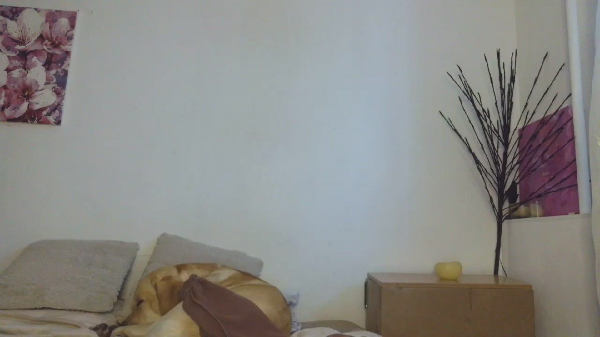 Gallery image thumbnail from HaleyReed's myfreecams stream on, 01/15/2026, 13:39 image 17 of 20