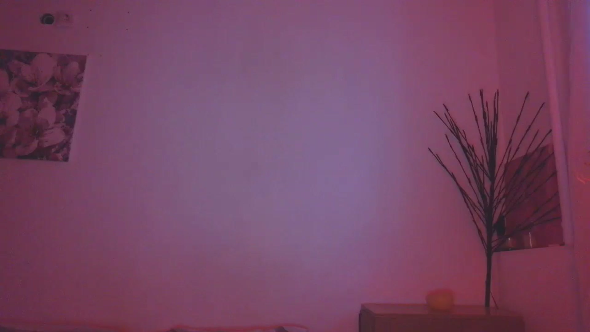 Gallery image thumbnail from HaleyReed's myfreecams stream on, 01/15/2026, 15:31 image 2 of 20