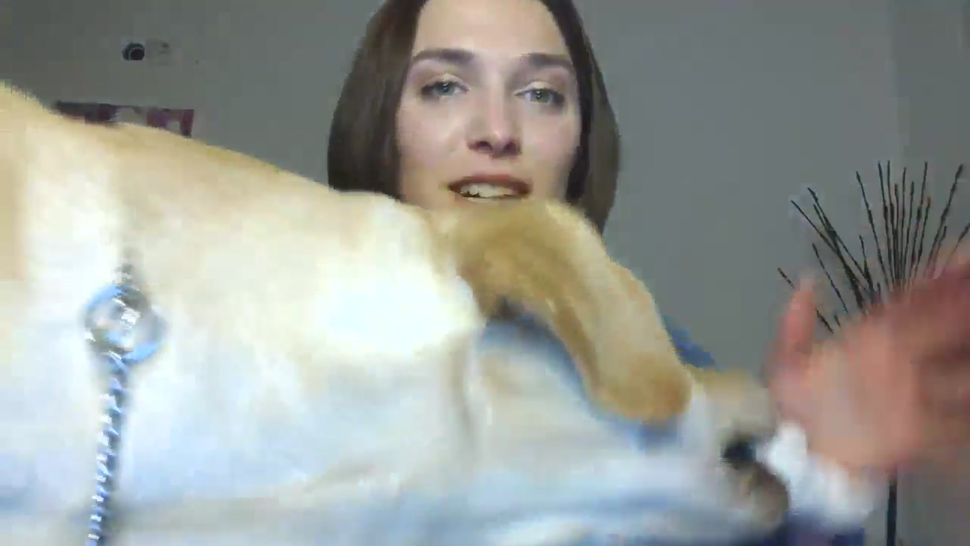 Gallery image thumbnail from HaleyReed's myfreecams stream on, 01/23/2026, 17:42 image 13 of 20