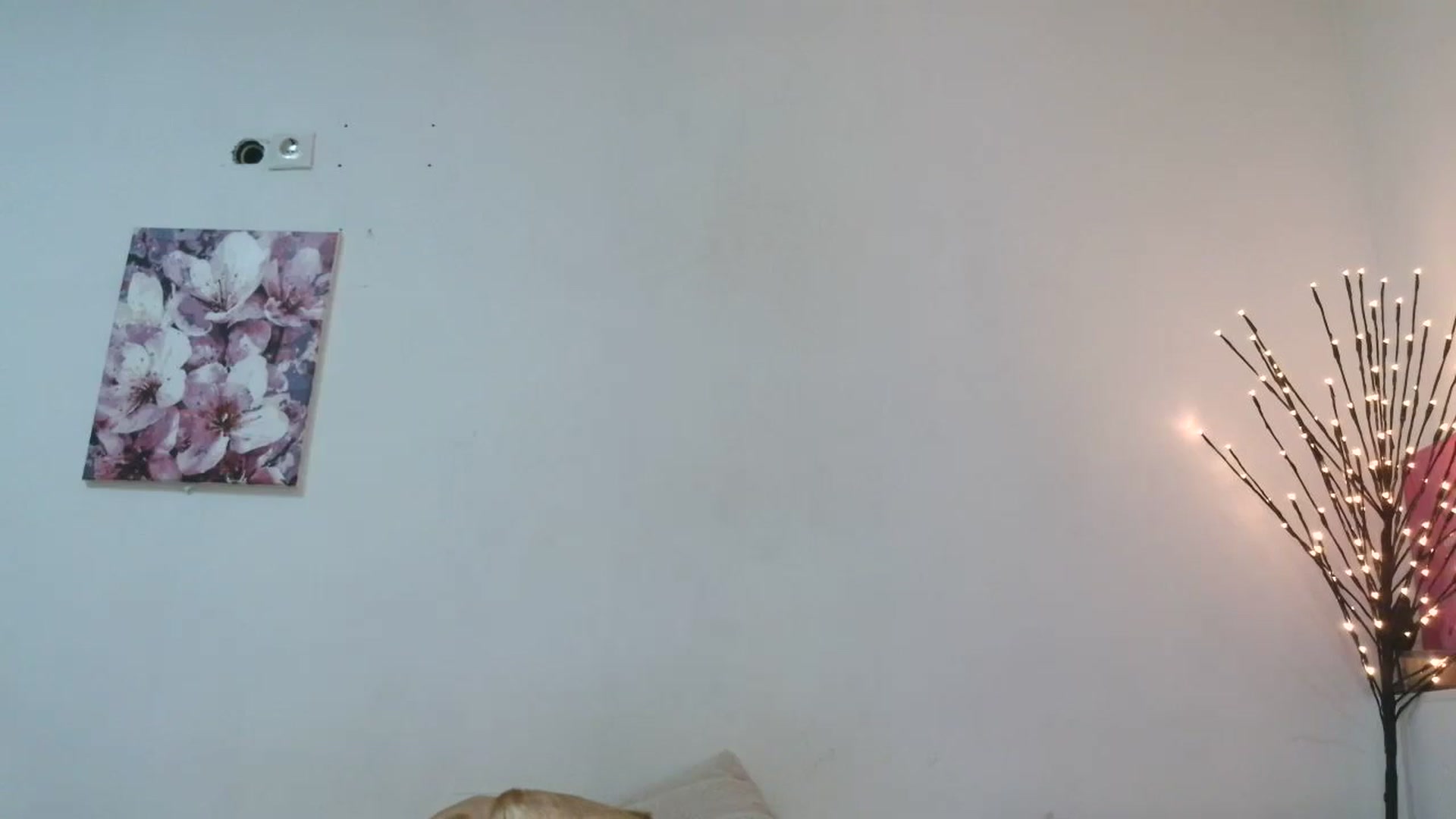 Gallery image thumbnail from HaleyReed's myfreecams stream on, 01/25/2026, 16:18 image 2 of 20