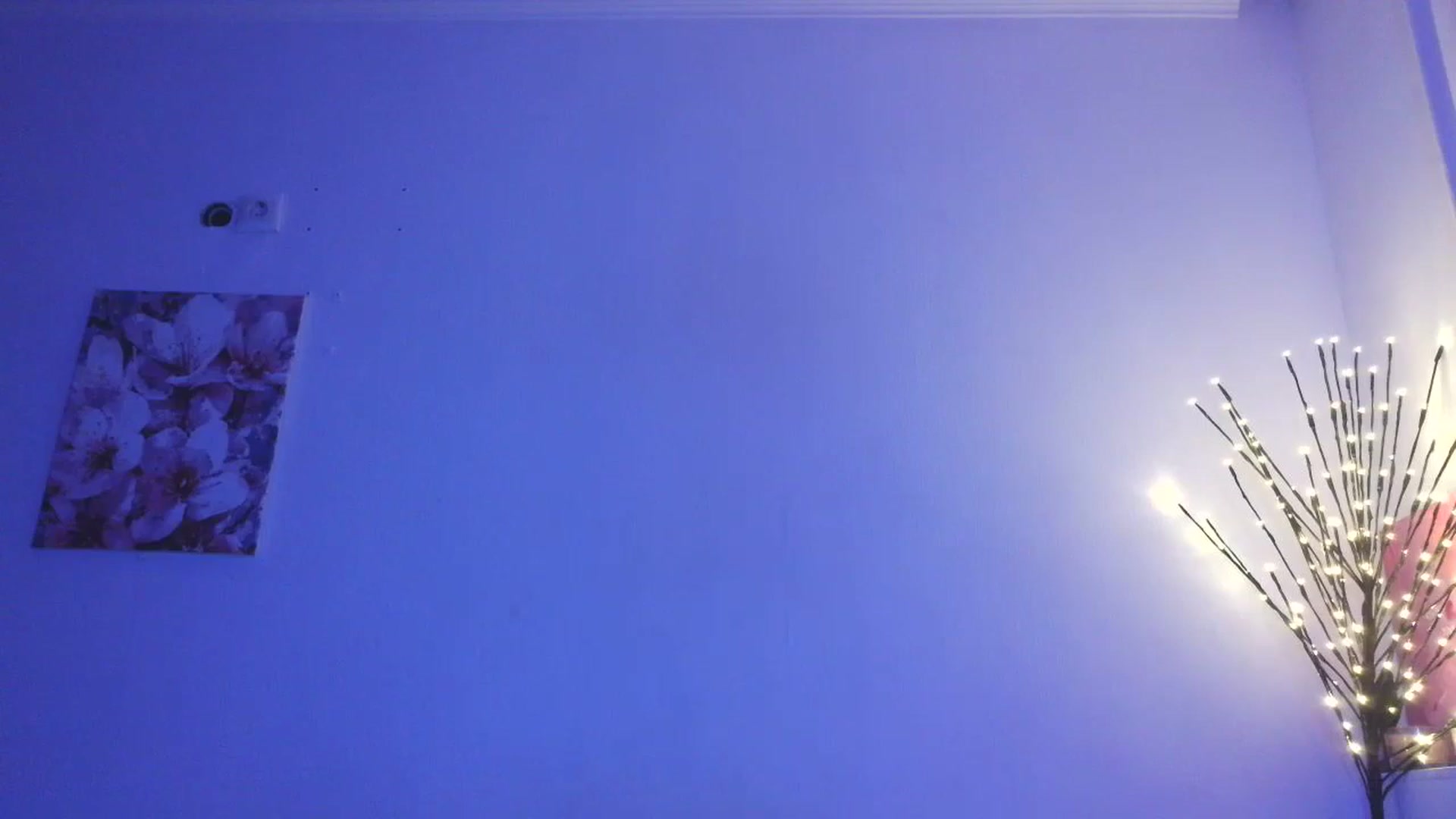Gallery image thumbnail from HaleyReed's myfreecams stream on, 01/25/2026, 16:41 image 1 of 20