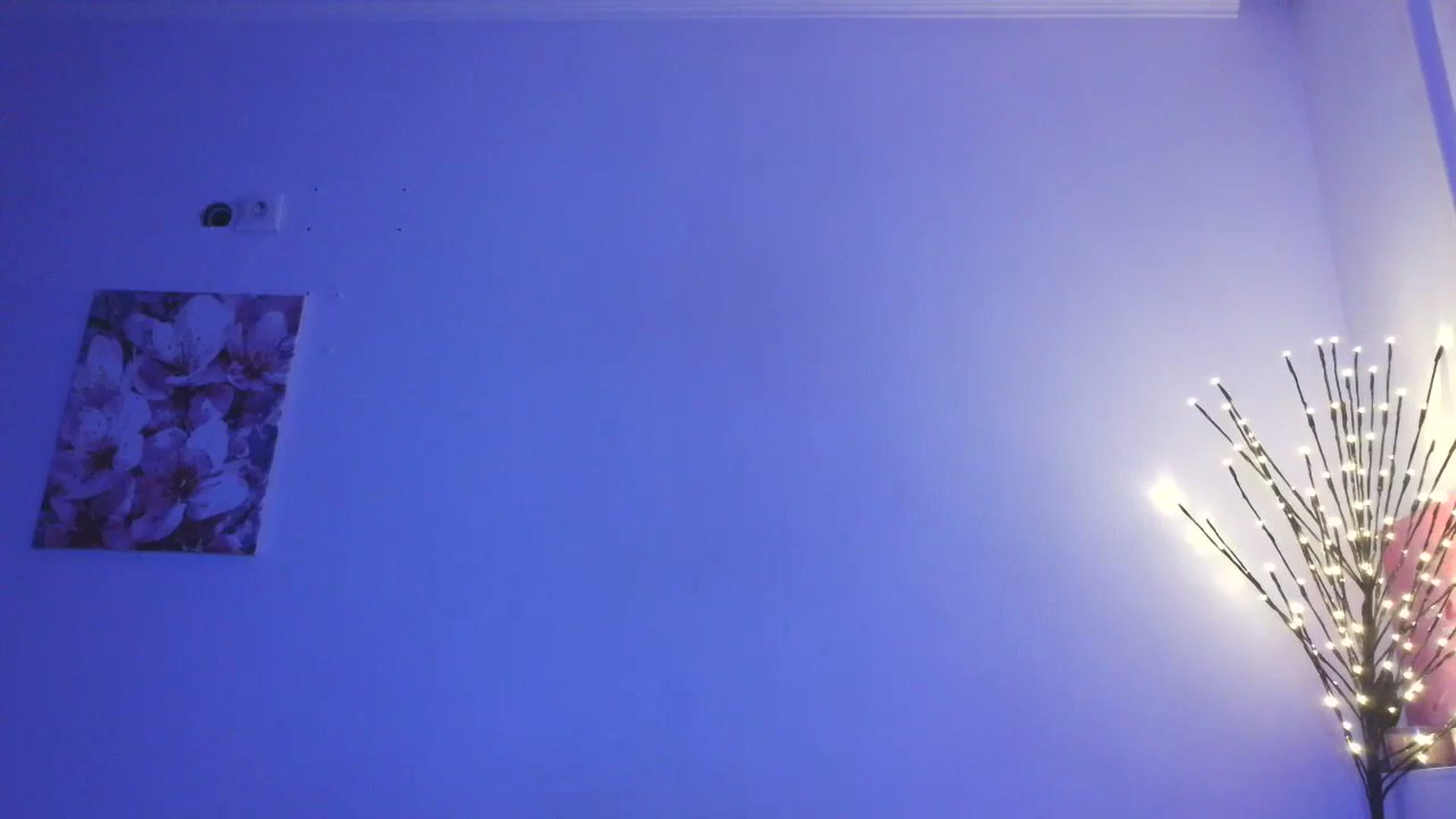 Gallery image thumbnail from HaleyReed's myfreecams stream on, 01/25/2026, 16:41 image 2 of 20