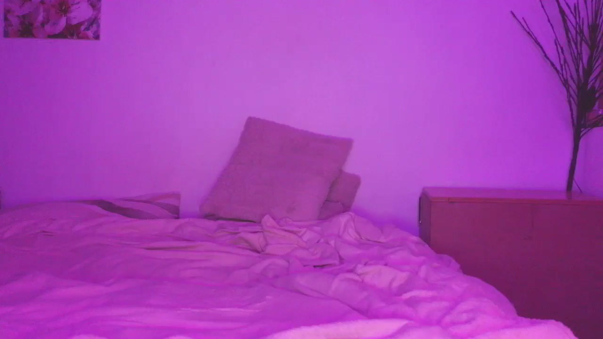 Gallery image thumbnail from HaleyReed's myfreecams stream on, 01/26/2026, 17:51 image 15 of 20