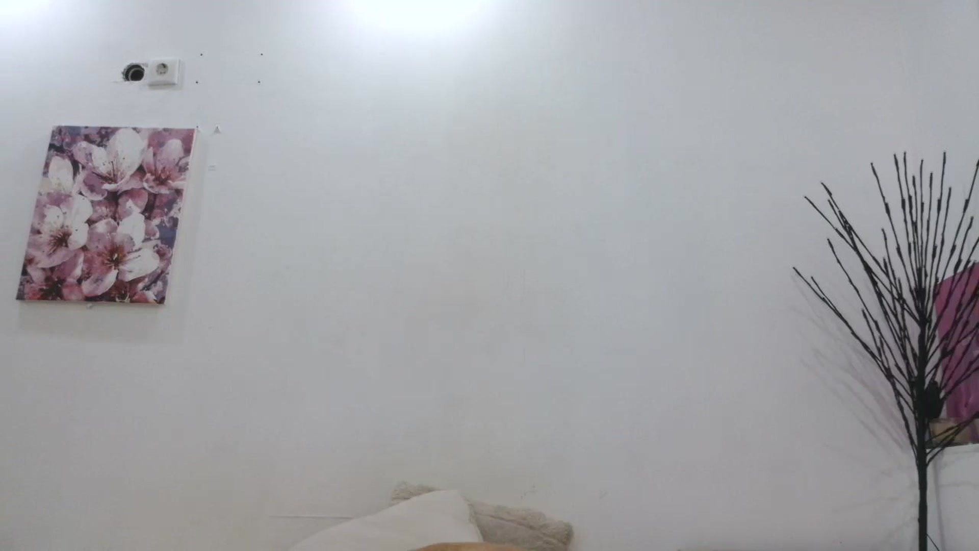 Gallery image thumbnail from HaleyReed's myfreecams stream on, 01/26/2026, 19:11 image 7 of 20