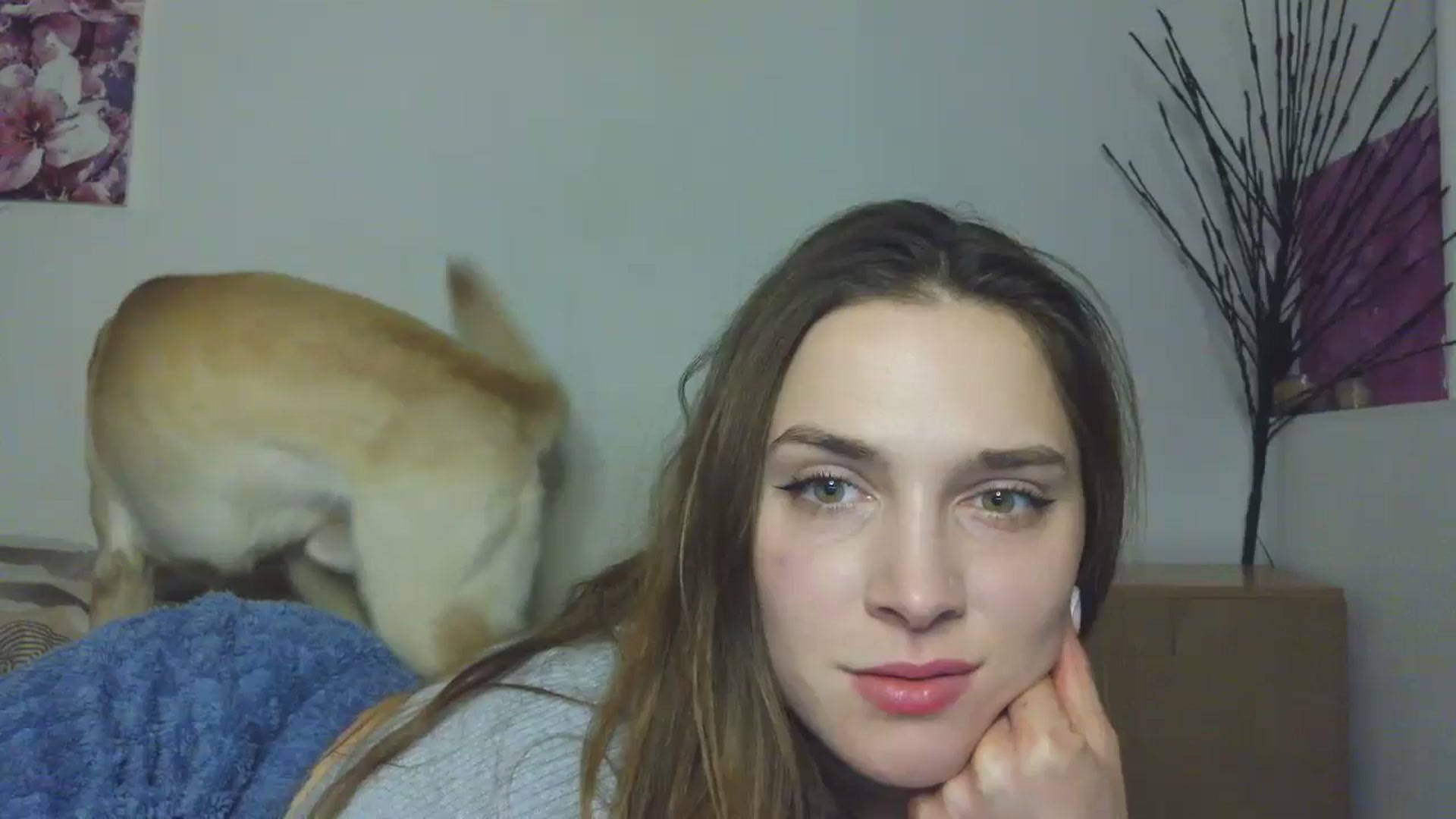 Gallery image thumbnail from HaleyReed's myfreecams stream on, 01/30/2026, 17:05 image 3 of 20