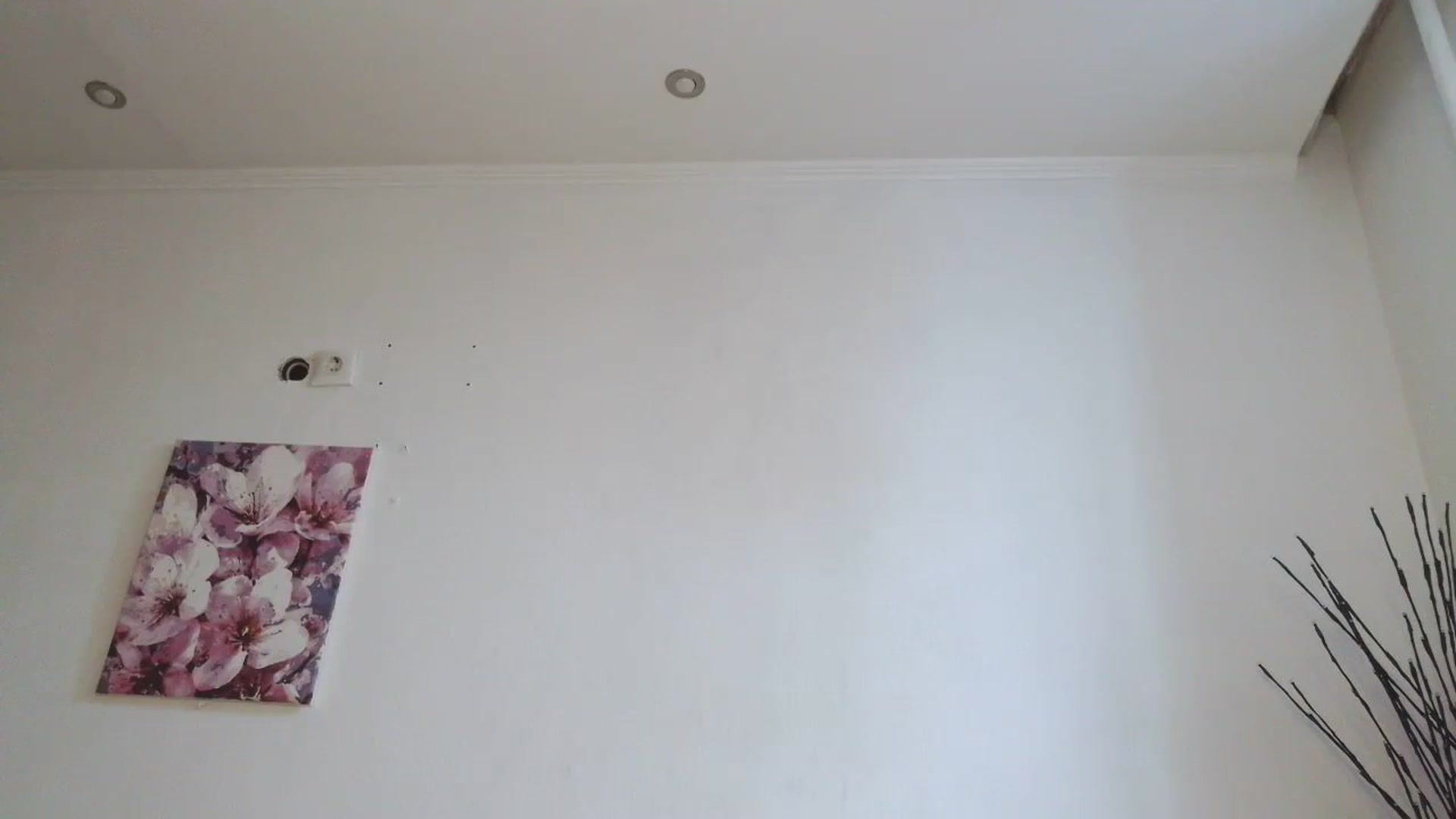 Gallery image thumbnail from HaleyReed's myfreecams stream on, 01/31/2026, 12:41 image 11 of 20