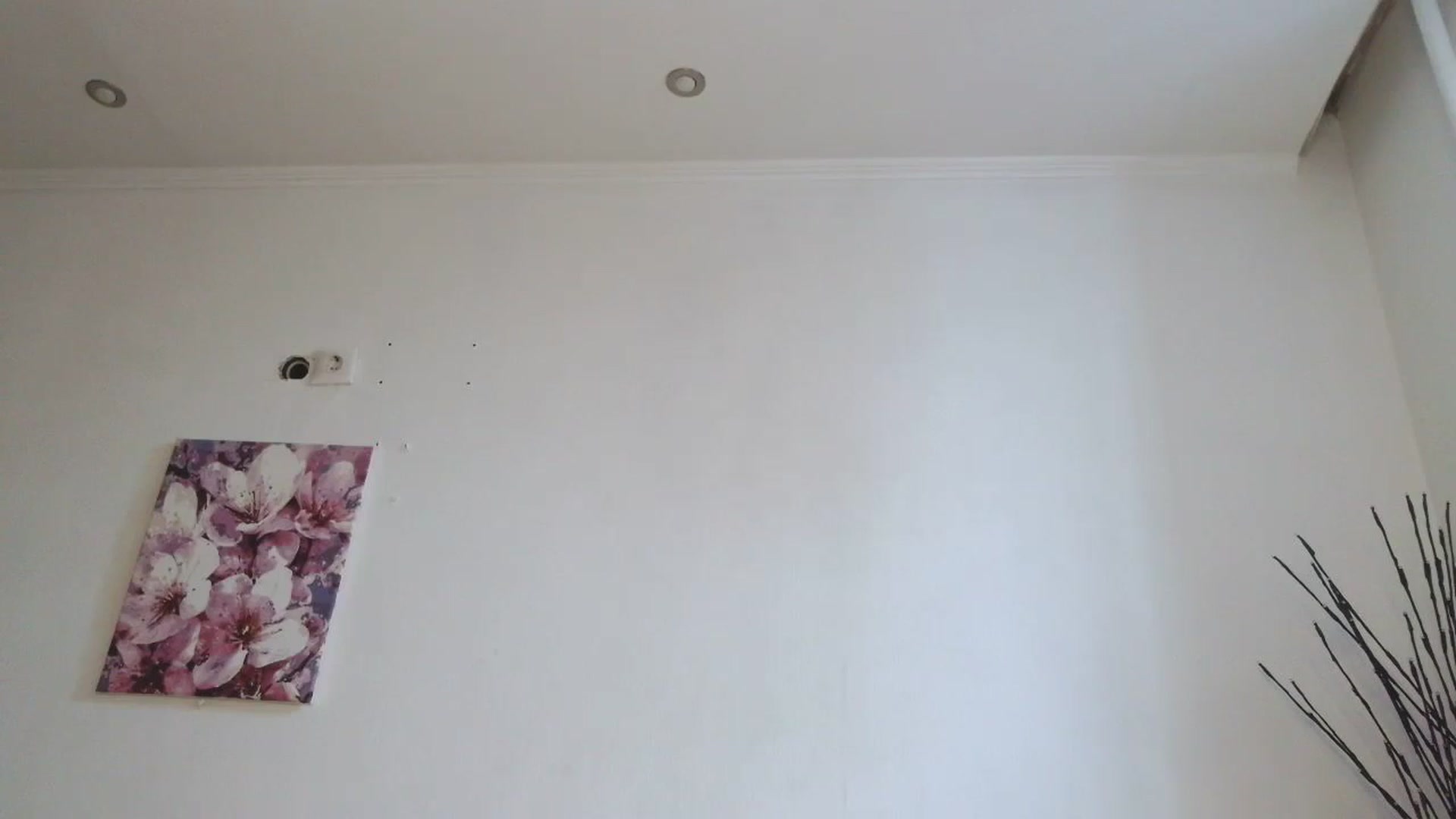 Gallery image thumbnail from HaleyReed's myfreecams stream on, 01/31/2026, 12:41 image 10 of 20