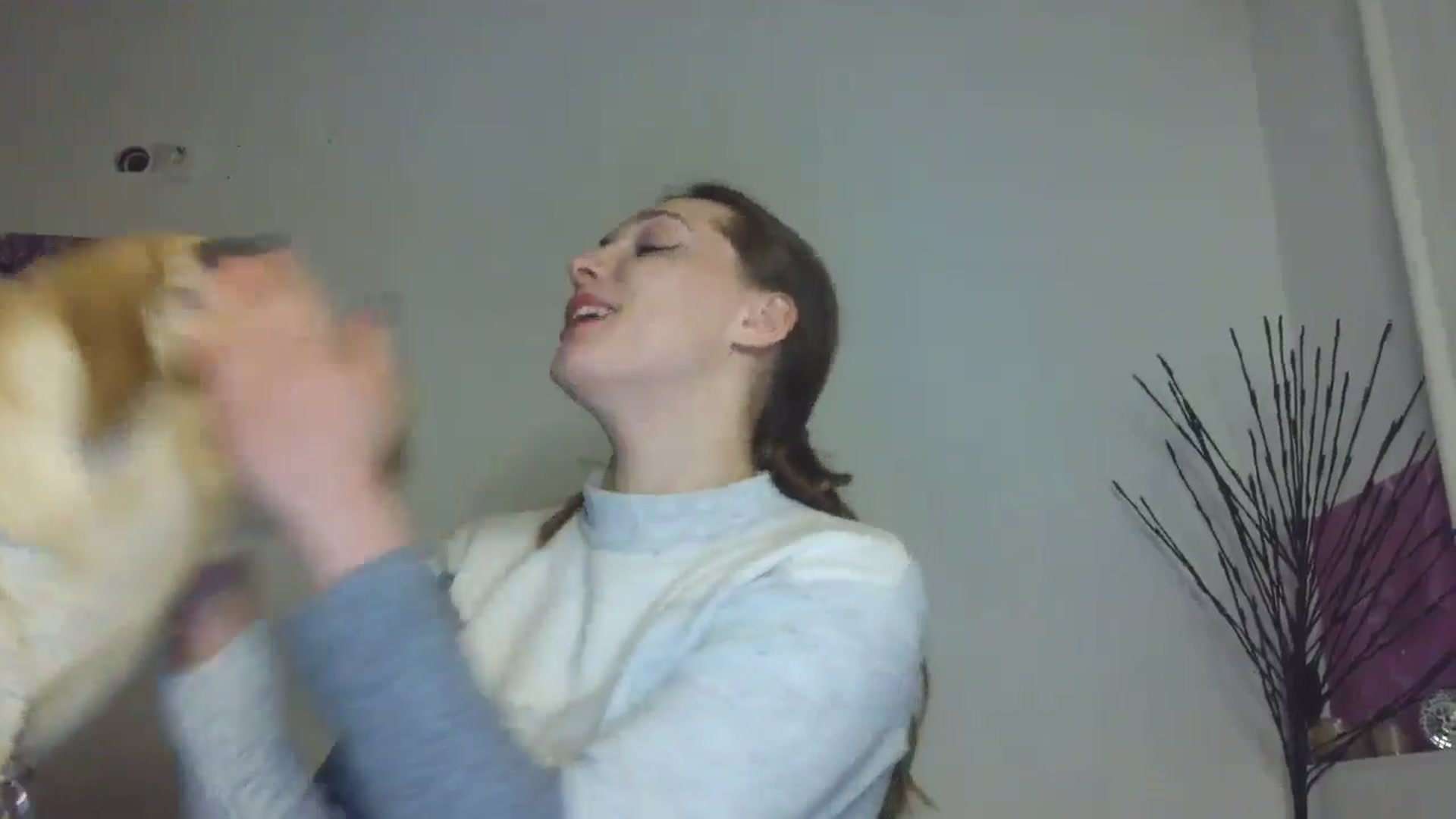 Gallery image thumbnail from HaleyReed's myfreecams stream on, 02/01/2026, 17:20 image 12 of 20